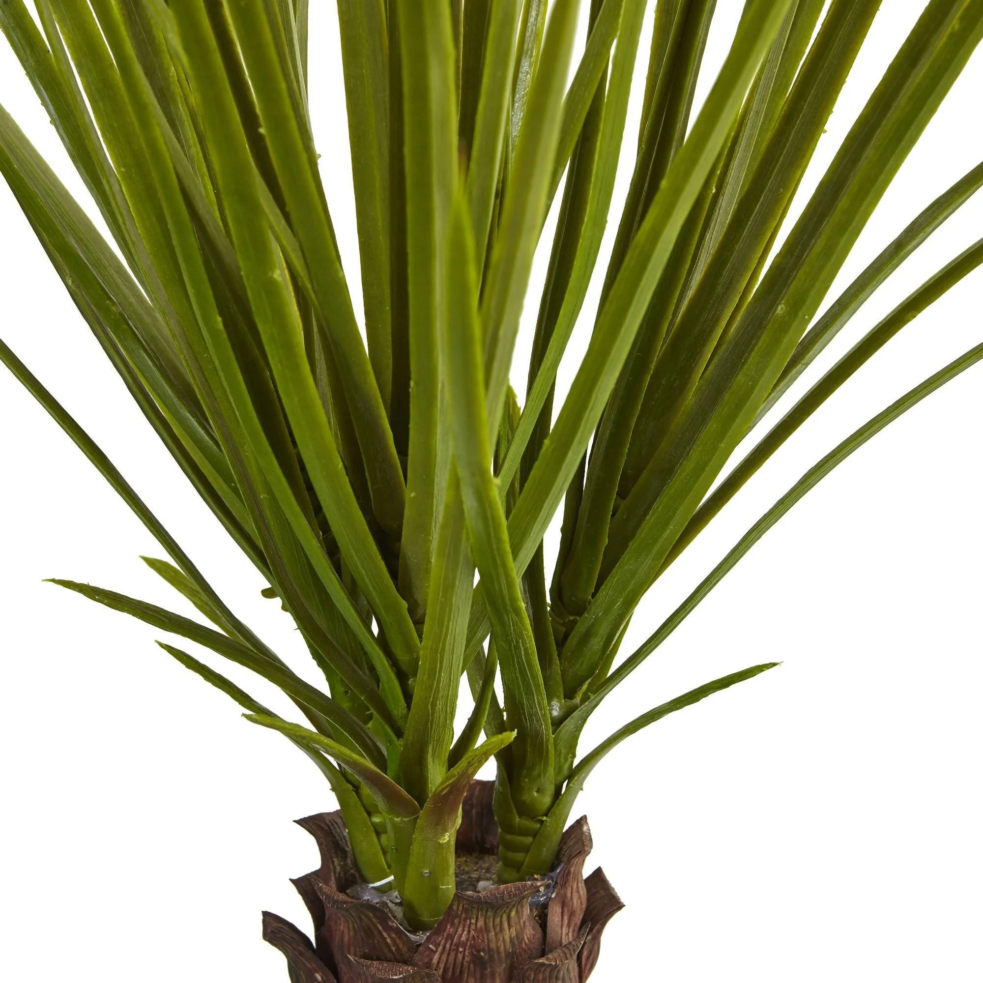 3.5’ Yucca Tree in Sand Colored Bowl - Image 4