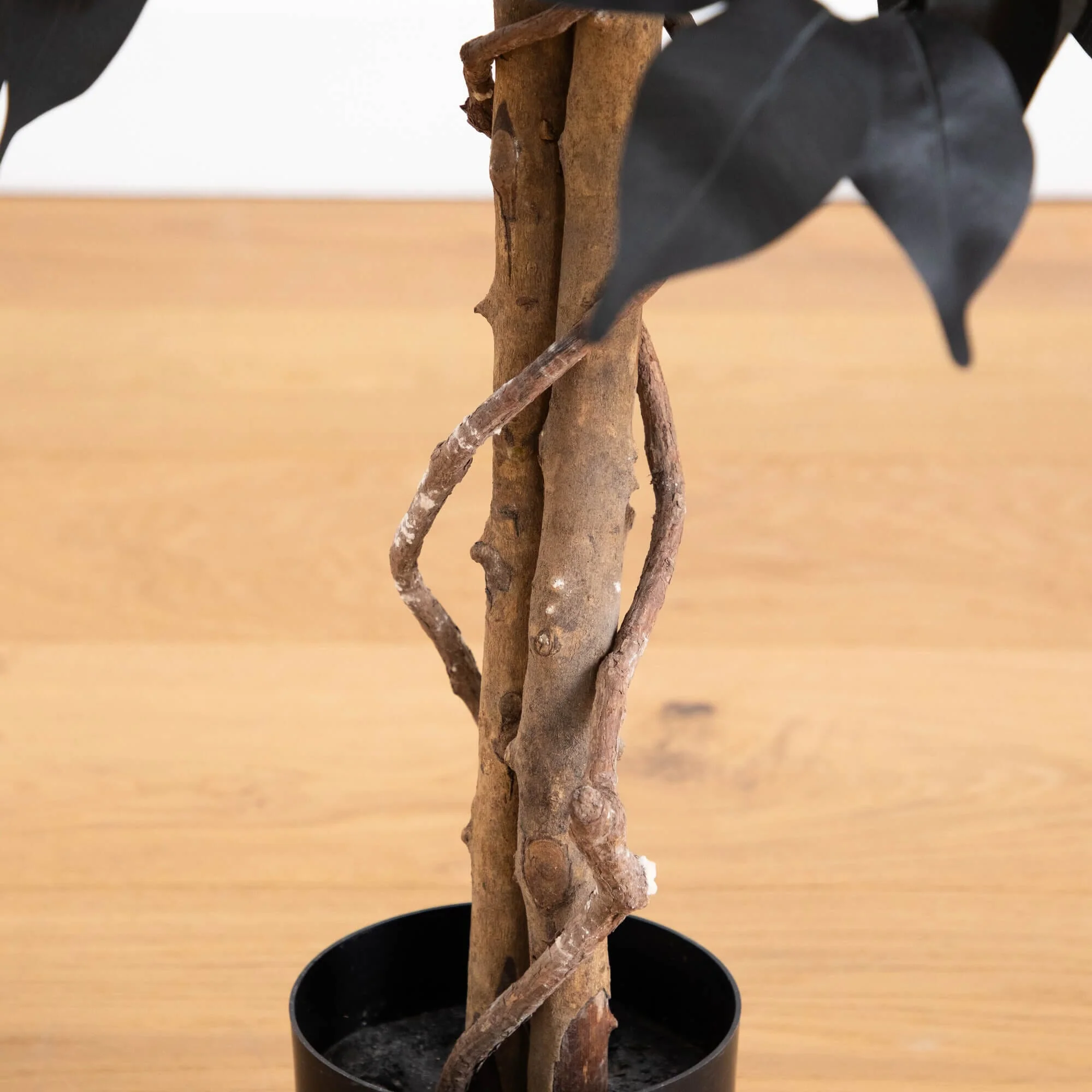 3' Artificial Halloween Black Ficus Tree with Natural Trunk - Image 4