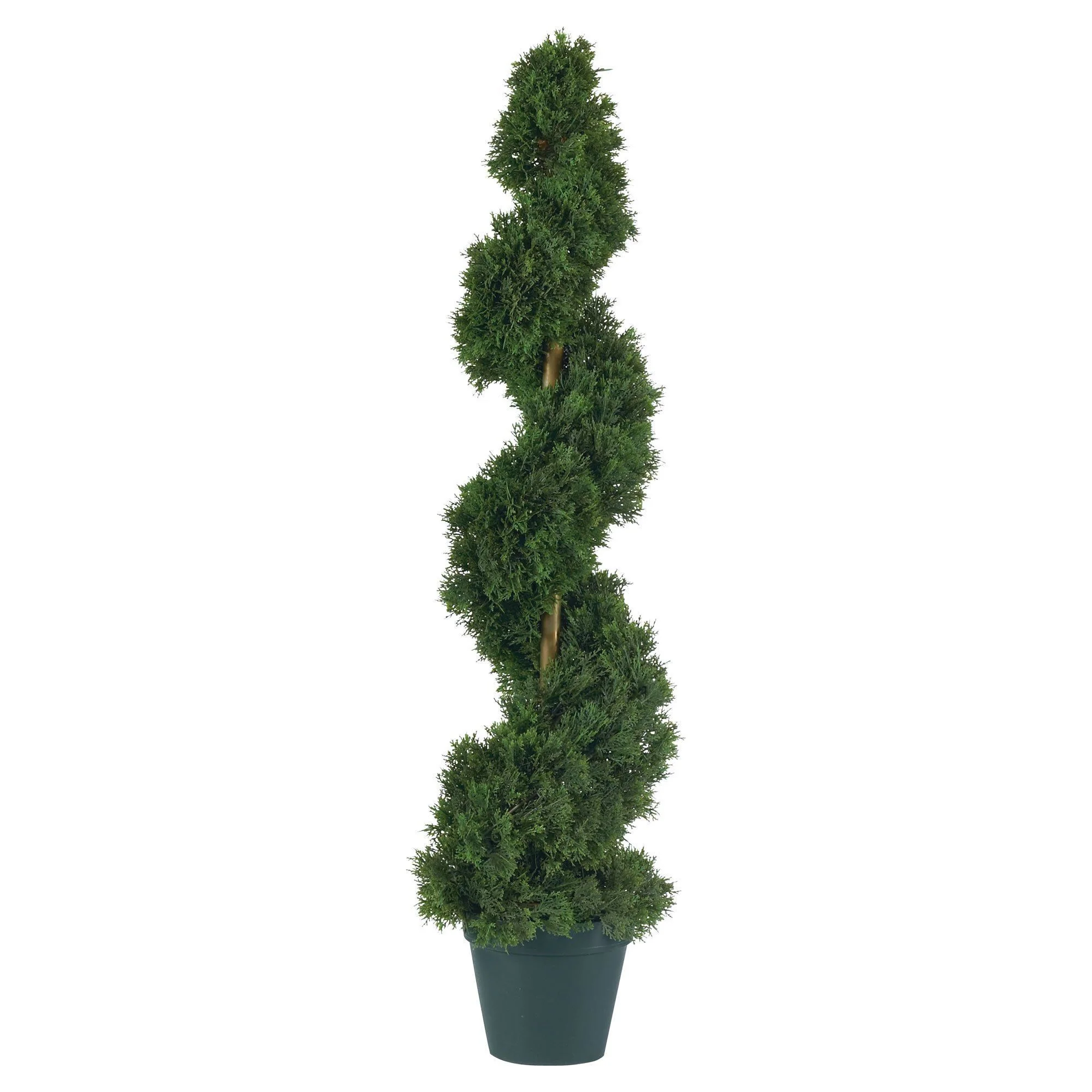 3' Cedar Spiral Silk Tree (In-door/Out-door) - Image 3