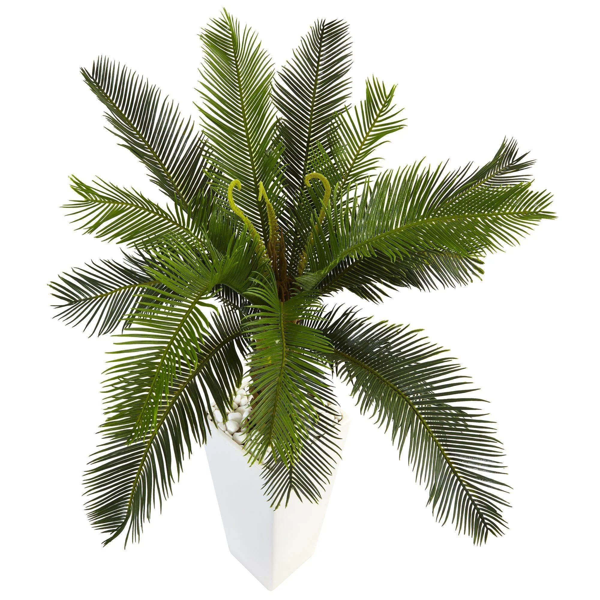 3’ Cycas Tree in White Tower Planter - Image 4