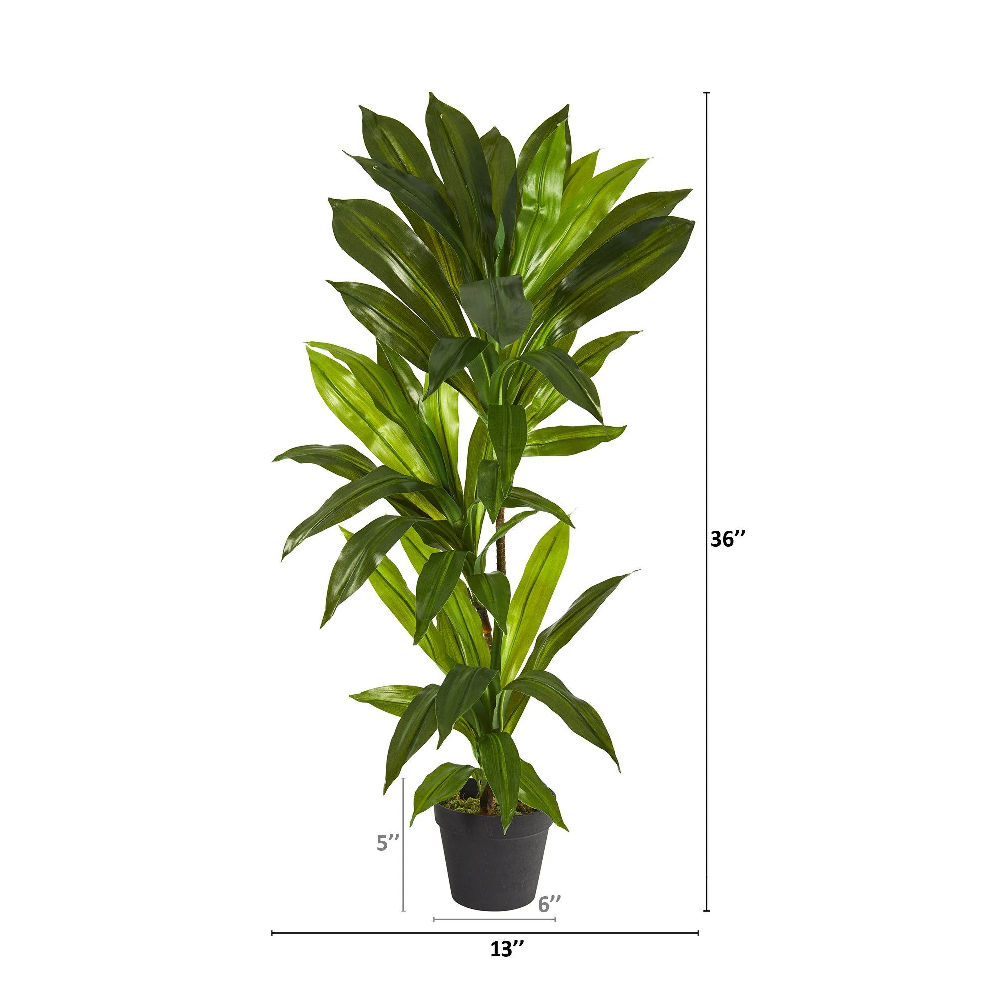 3' Dracaena Artificial Plant (Real Touch) - Image 2
