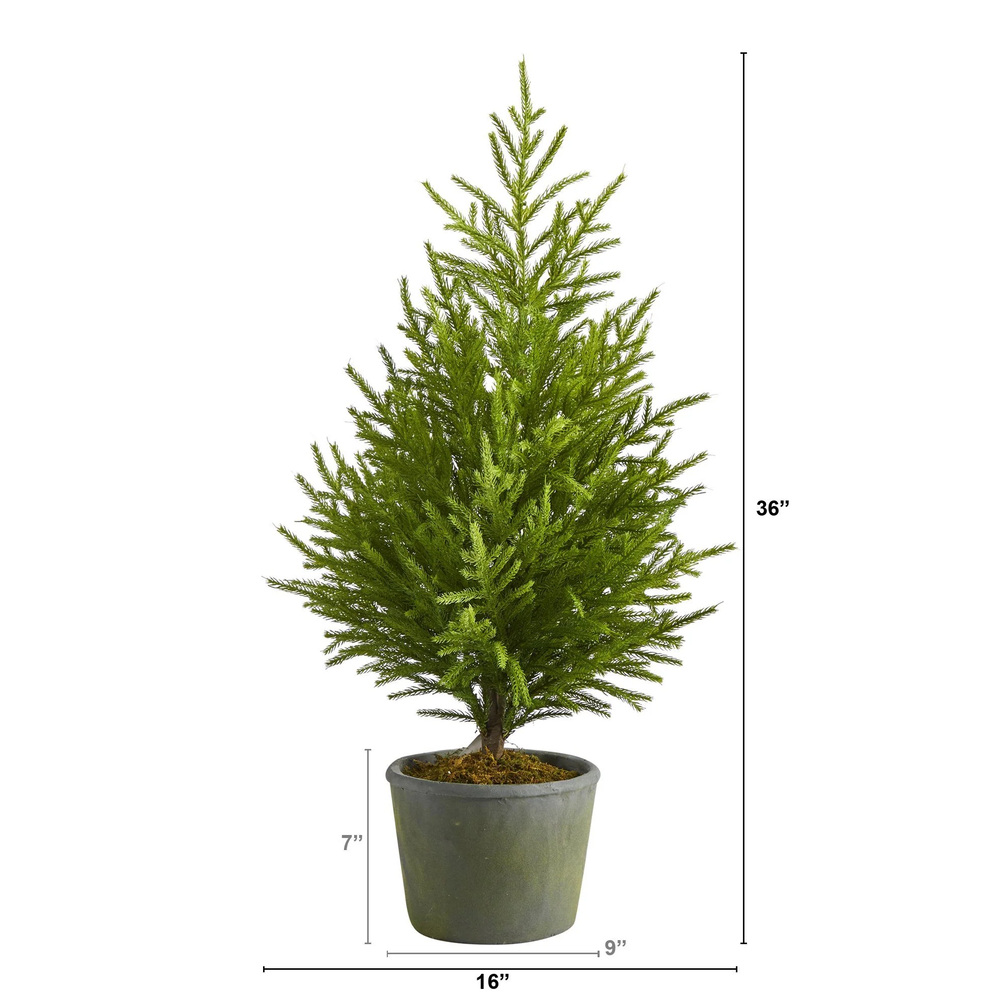 3’ Norfolk Island Pine “Natural Look” Artificial Christmas Tree in Decorative Planter - Image 3