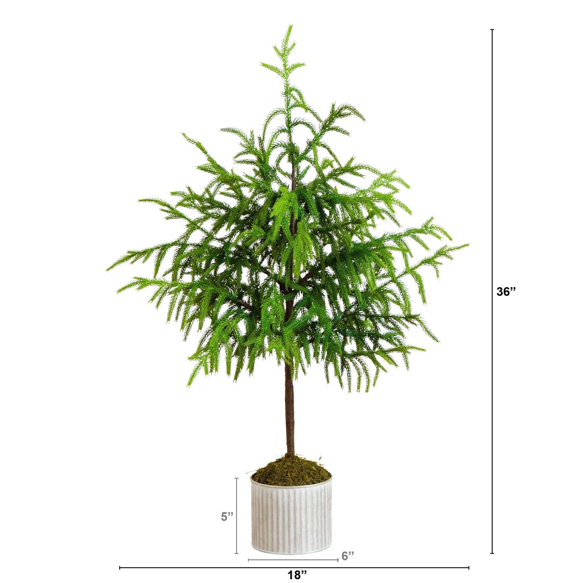 3' Artificial Real Touch Norfolk Island Pine in Metal Tin Planter with Natural Look - Image 5