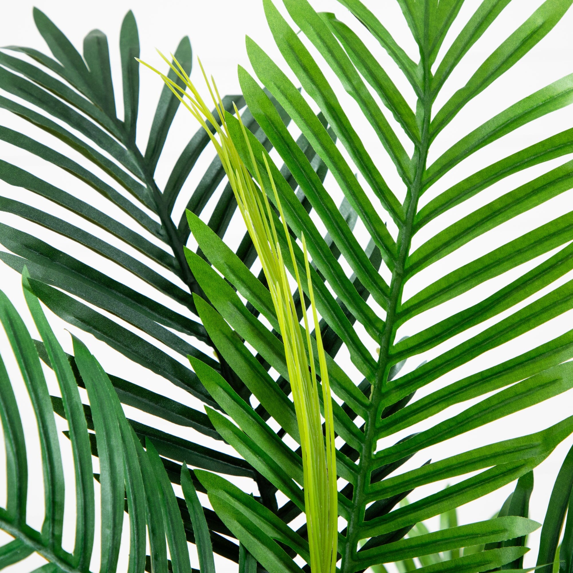 3’  Paradise Palm Artificial Tree - Image 2