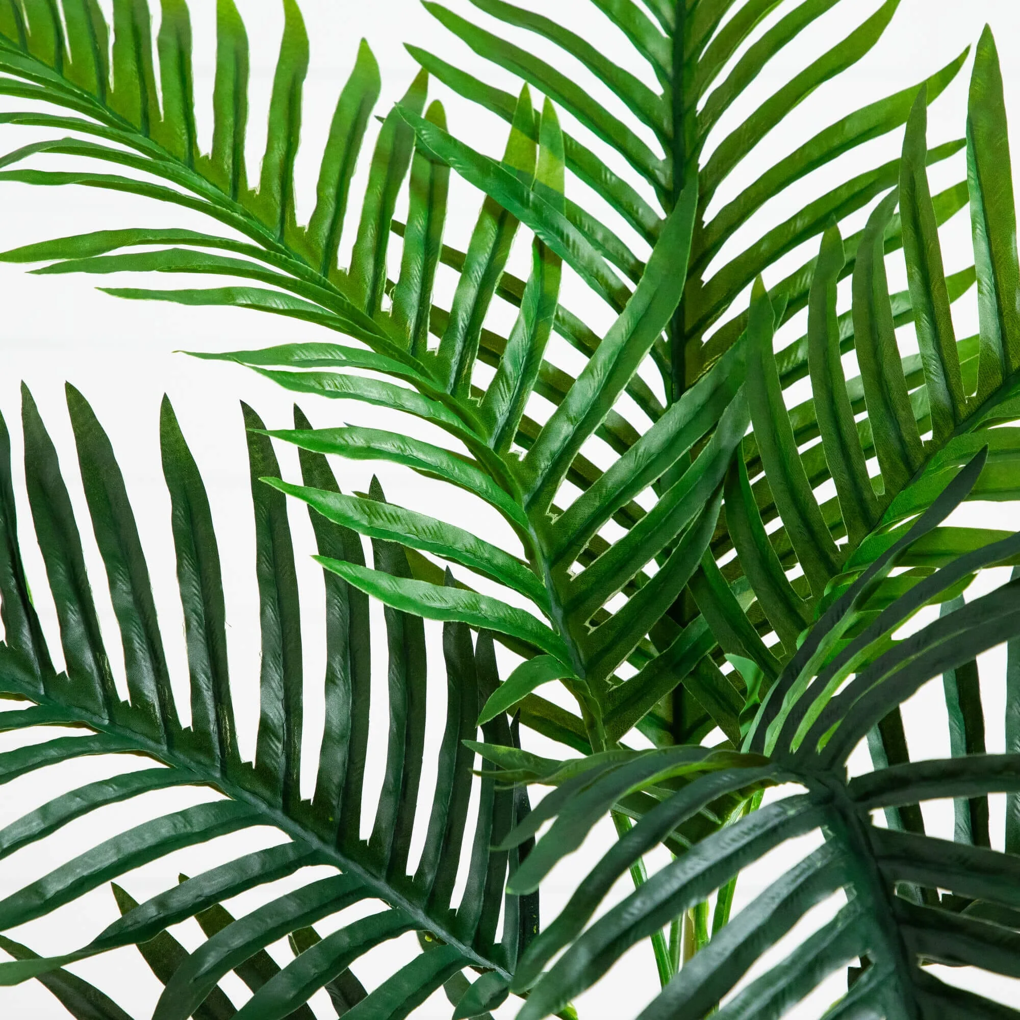 3' UV Resistant Artificial Double Robellini Palm Tree (Indoor/Outdoor) - Image 5