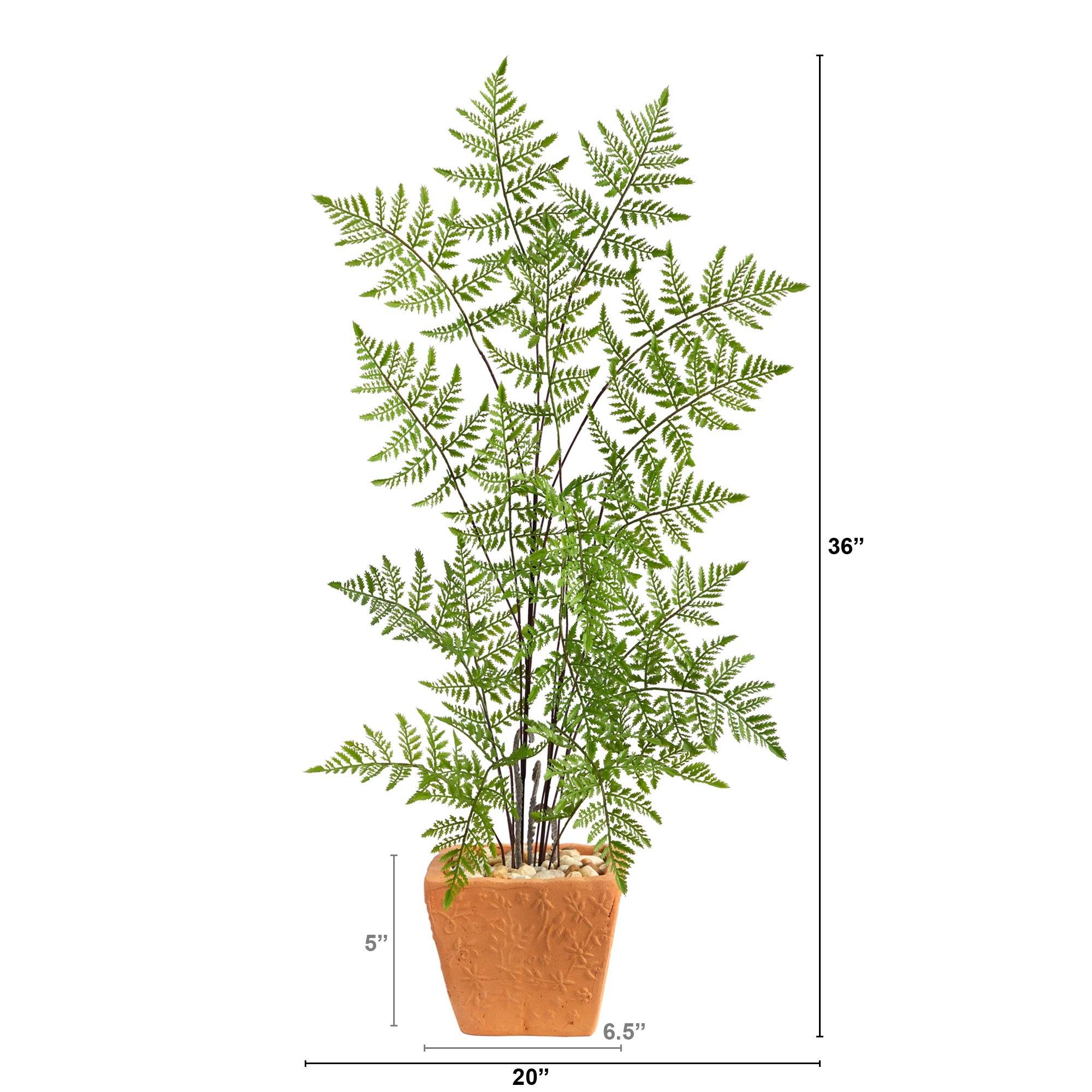 3’ Ruffle Fern Artificial Tree in Terra-Cotta Planter - Image 2