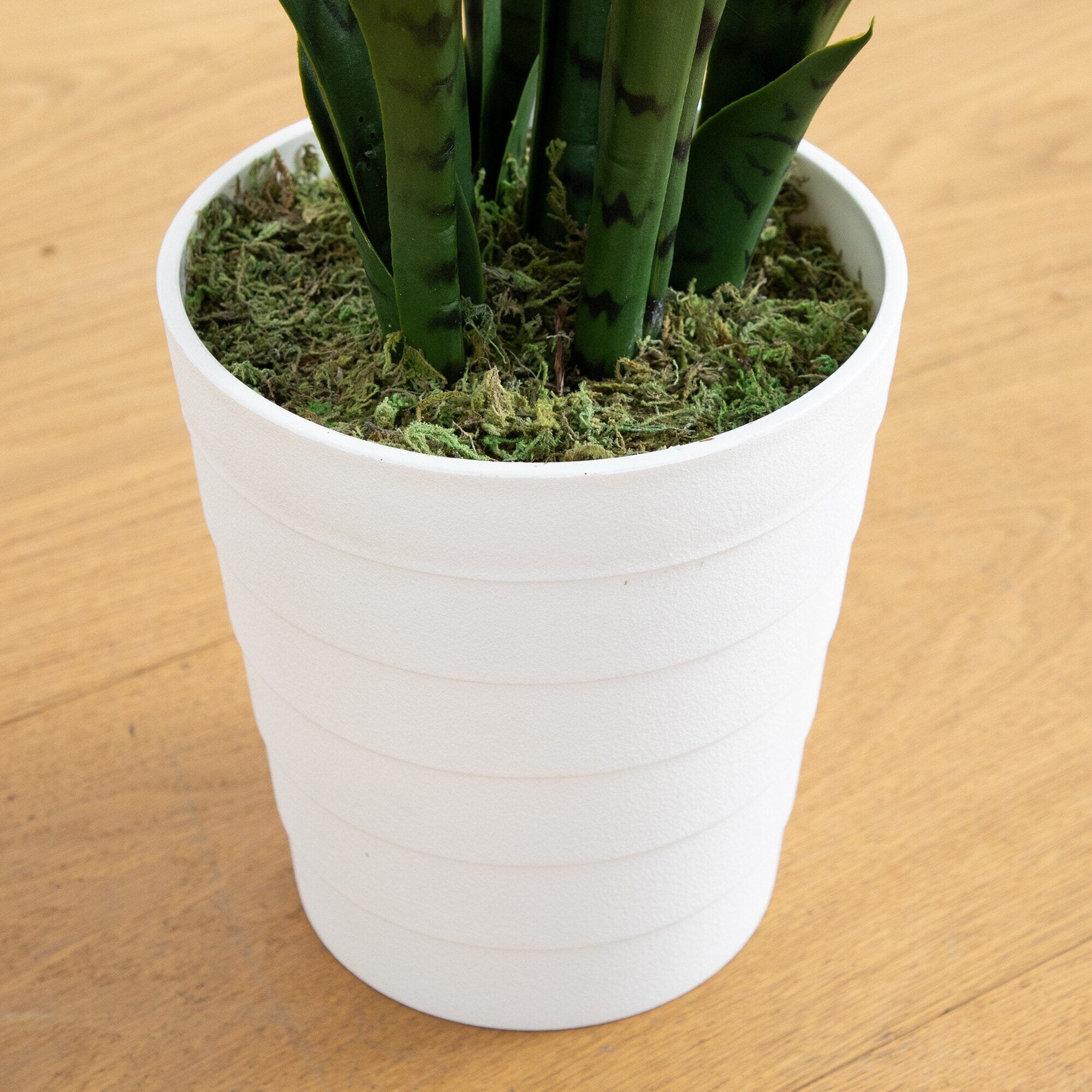 3' UV Resistant Artificial Sansevieria Plant in White Decorative Planter (Indoor/Outdoor) - Image 4