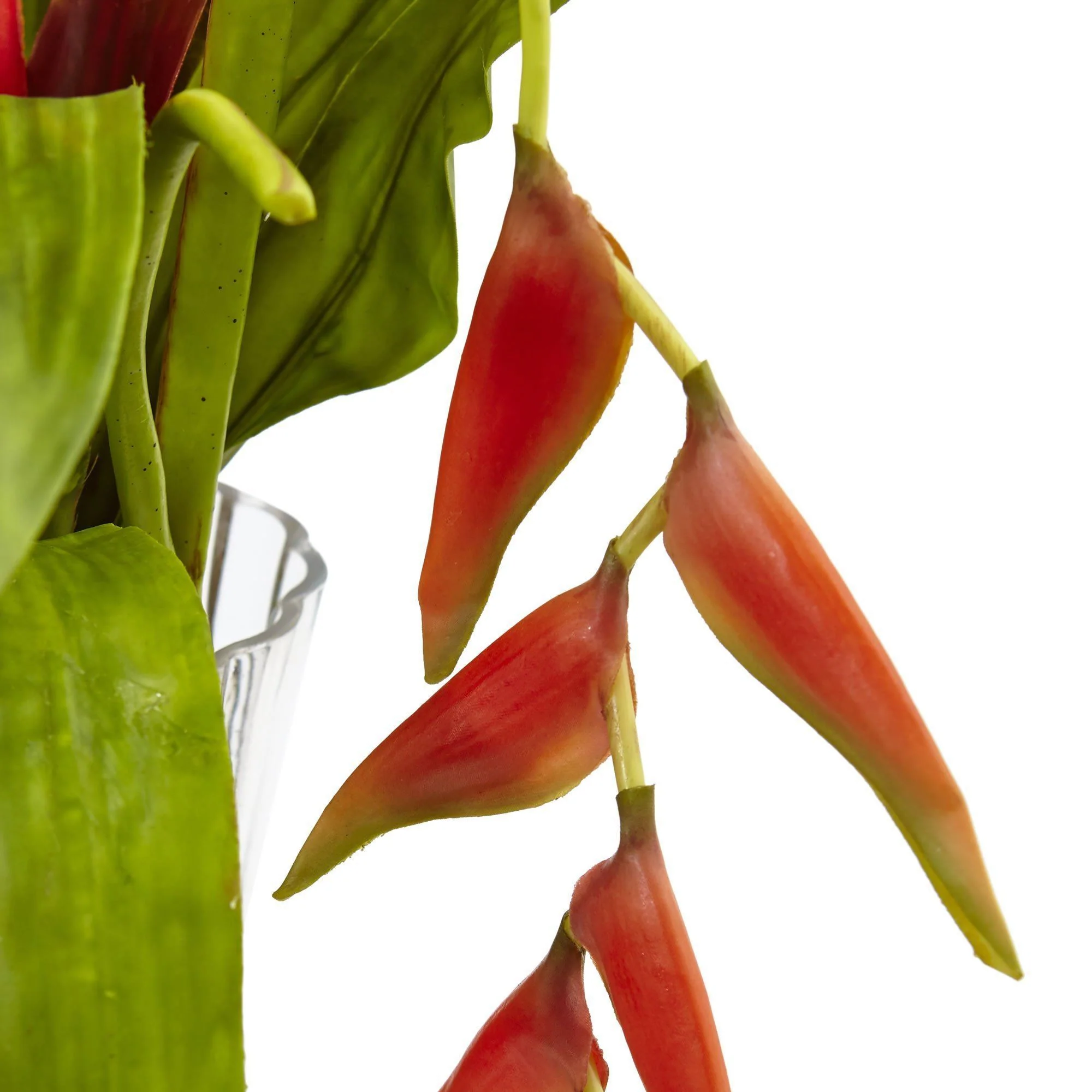 Bromeliad and Heliconia in Vase - Image 4