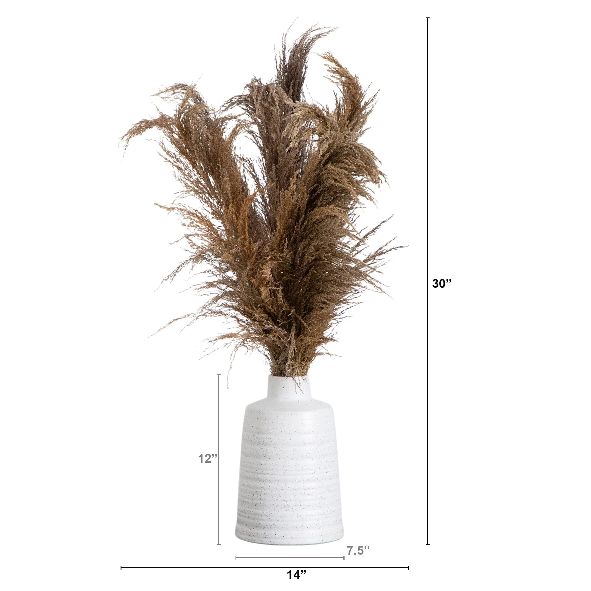 30” Dried Natural Pampas Arrangement in Ceramic Vase - Image 6