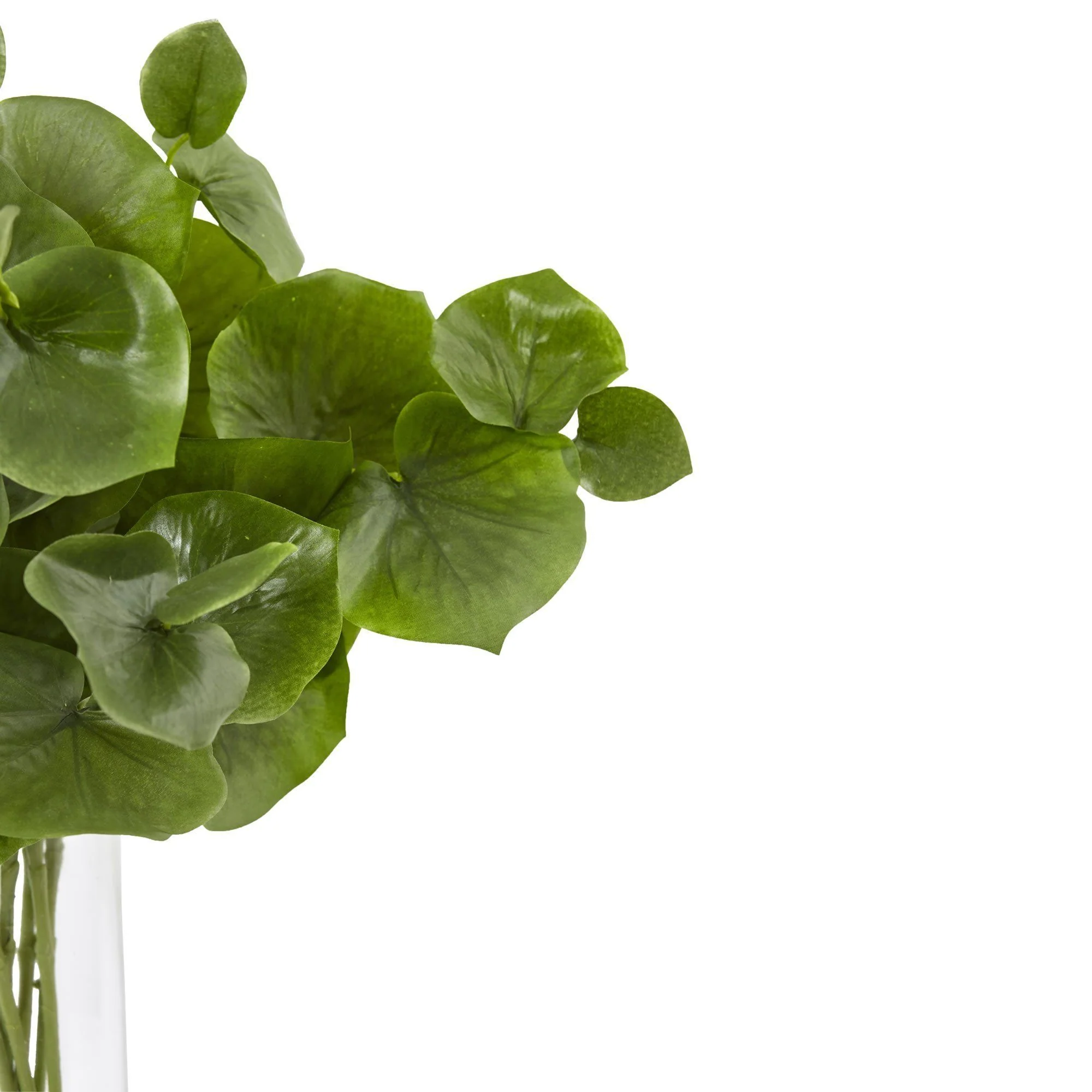Lotus Branch Arrangement - Image 2