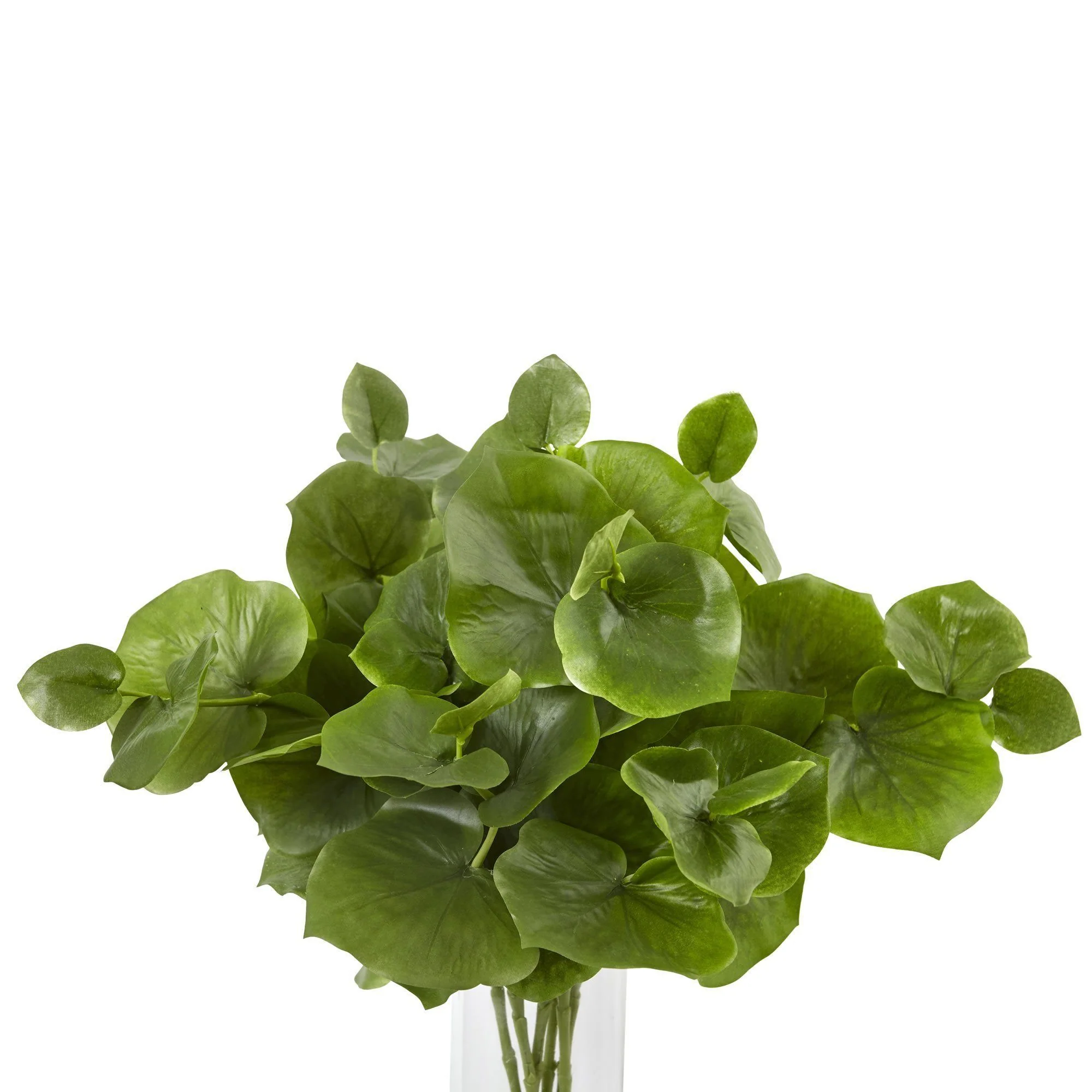 Lotus Branch Arrangement - Image 3