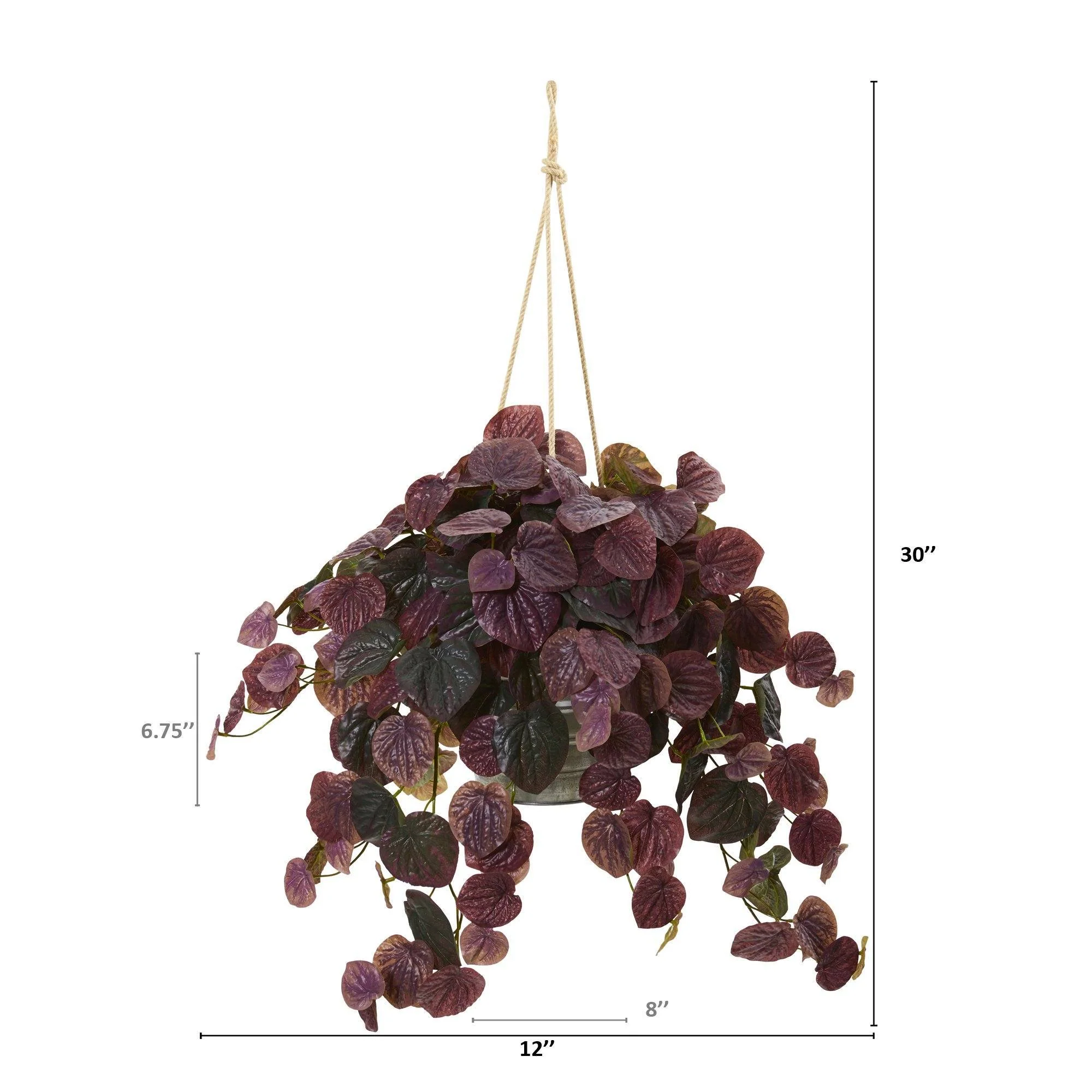 30” Peperomia Plant in Hanging Bucket (Real Touch) - Image 2