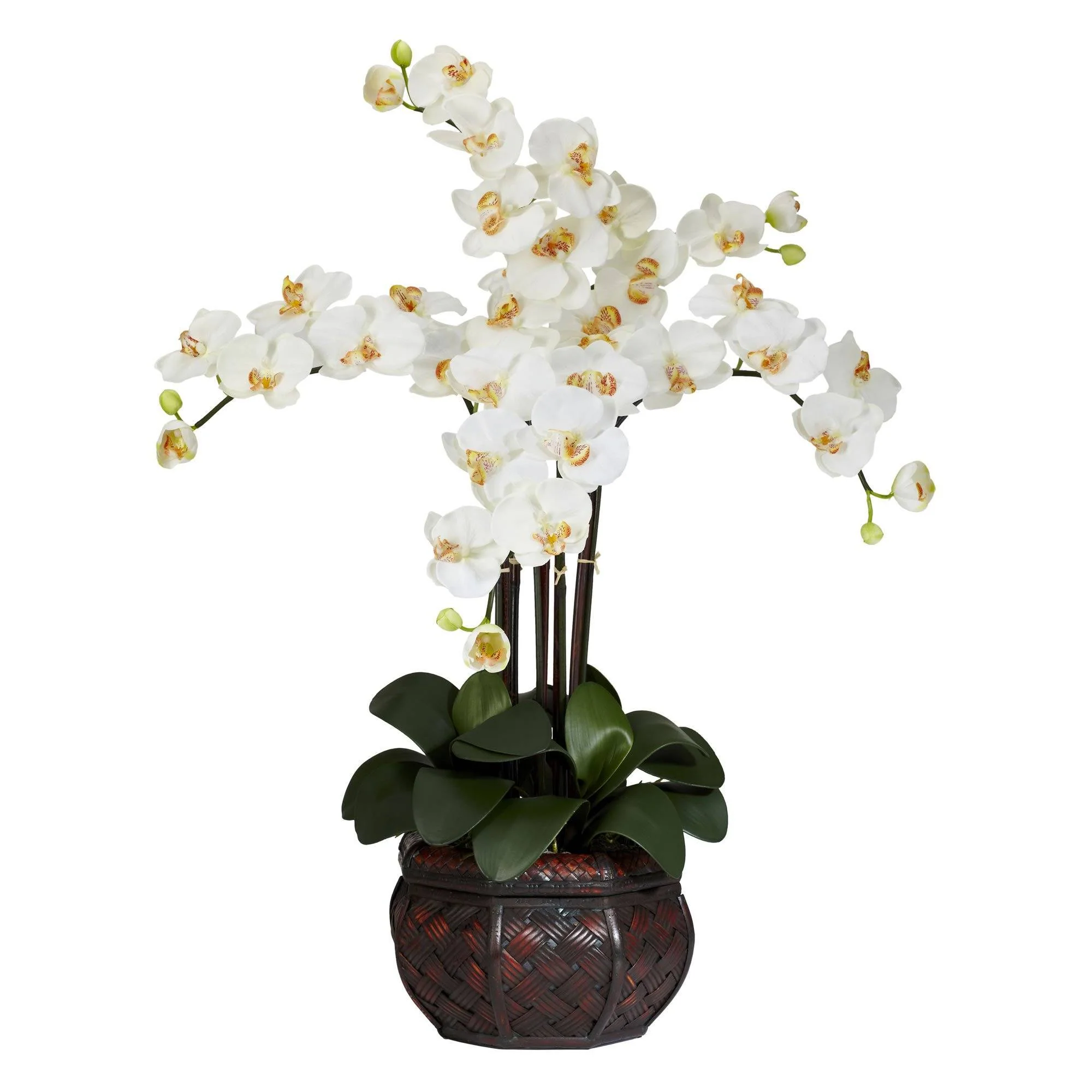 Phalaenopsis w/Decorative Vase Silk Flower Arrangement - Image 2