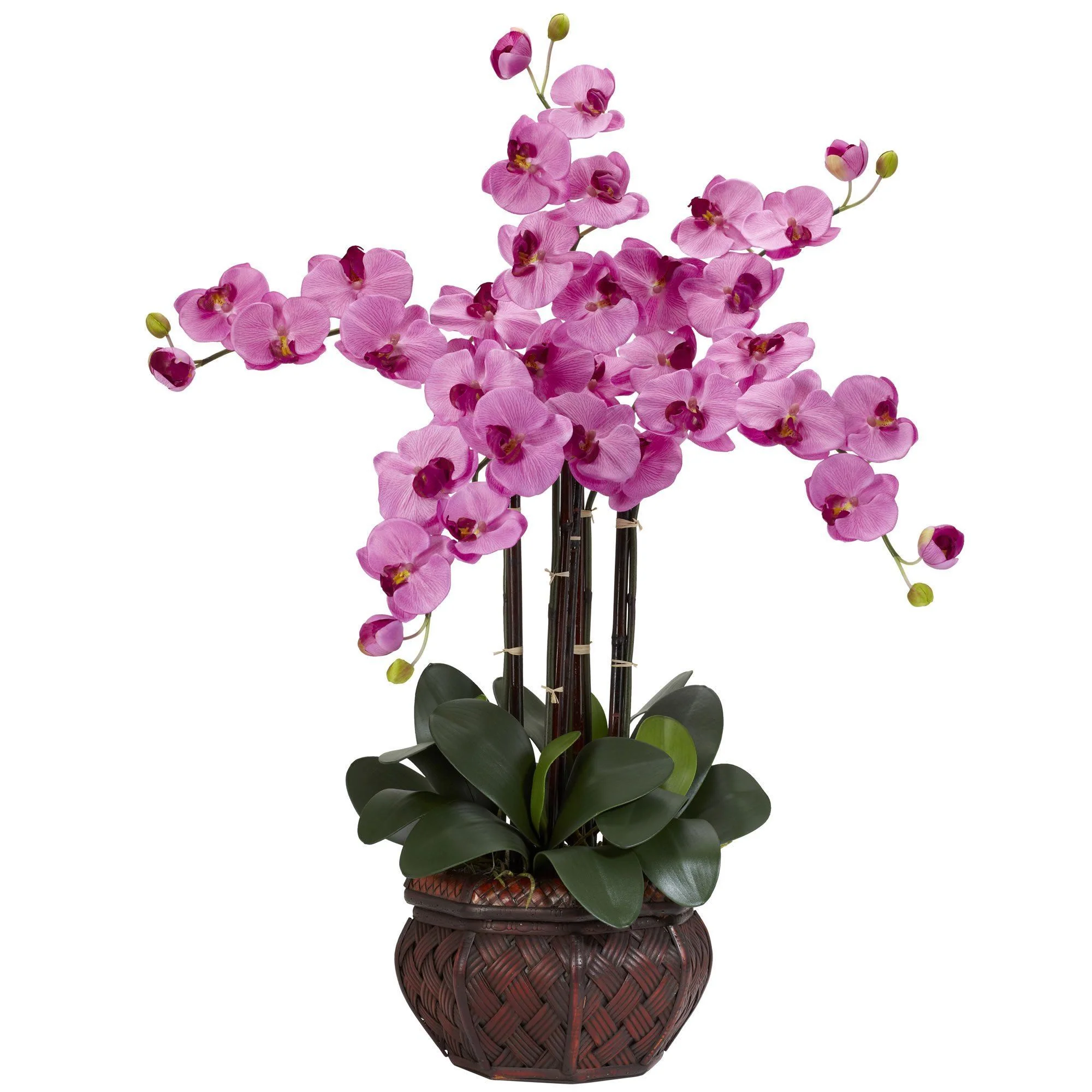 Phalaenopsis w/Decorative Vase Silk Flower Arrangement - Image 5