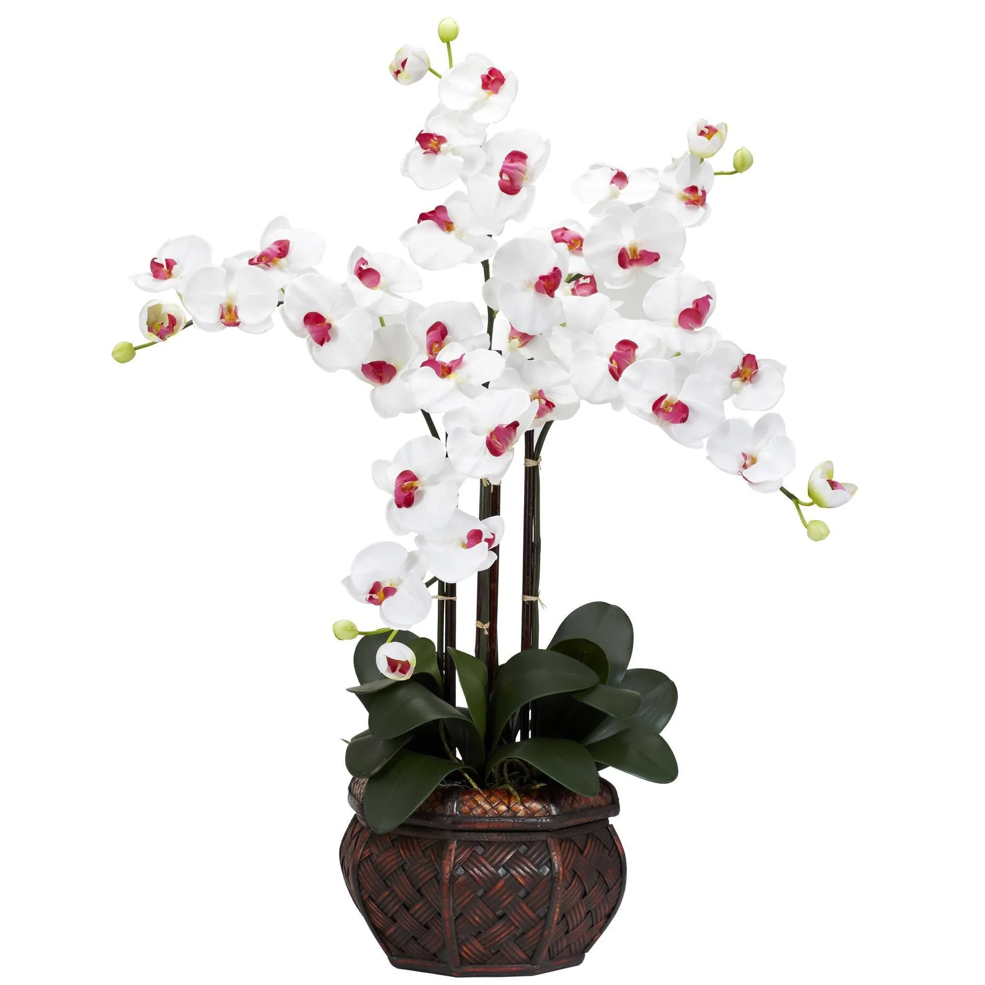 Phalaenopsis w/Decorative Vase Silk Flower Arrangement - Image 7
