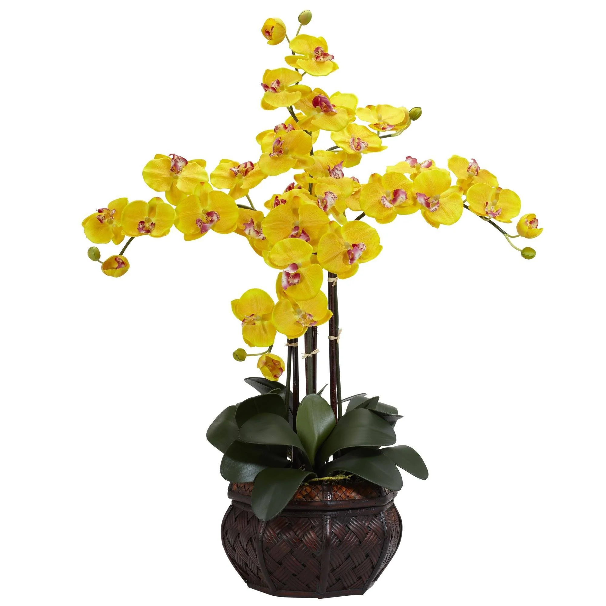 Phalaenopsis w/Decorative Vase Silk Flower Arrangement - Image 8