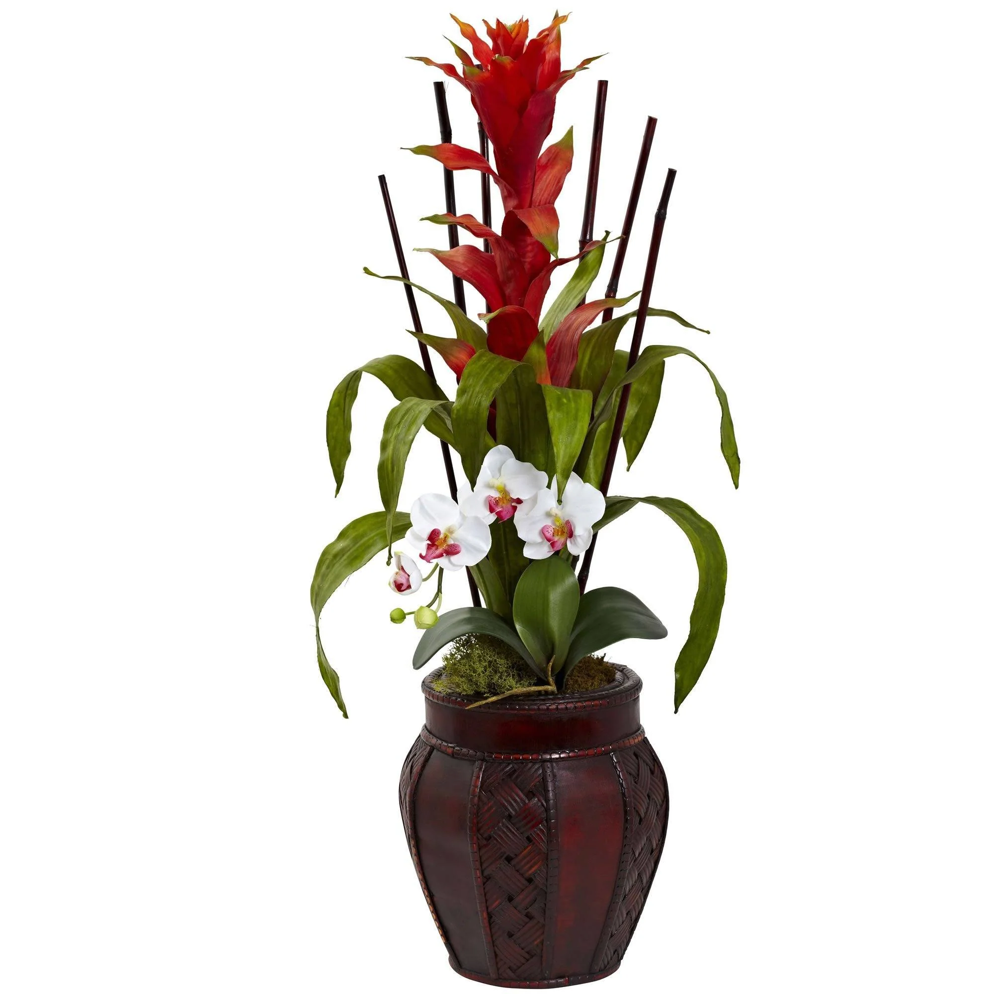 Bromedliad & Orchid Combo w/Planter - Image 2