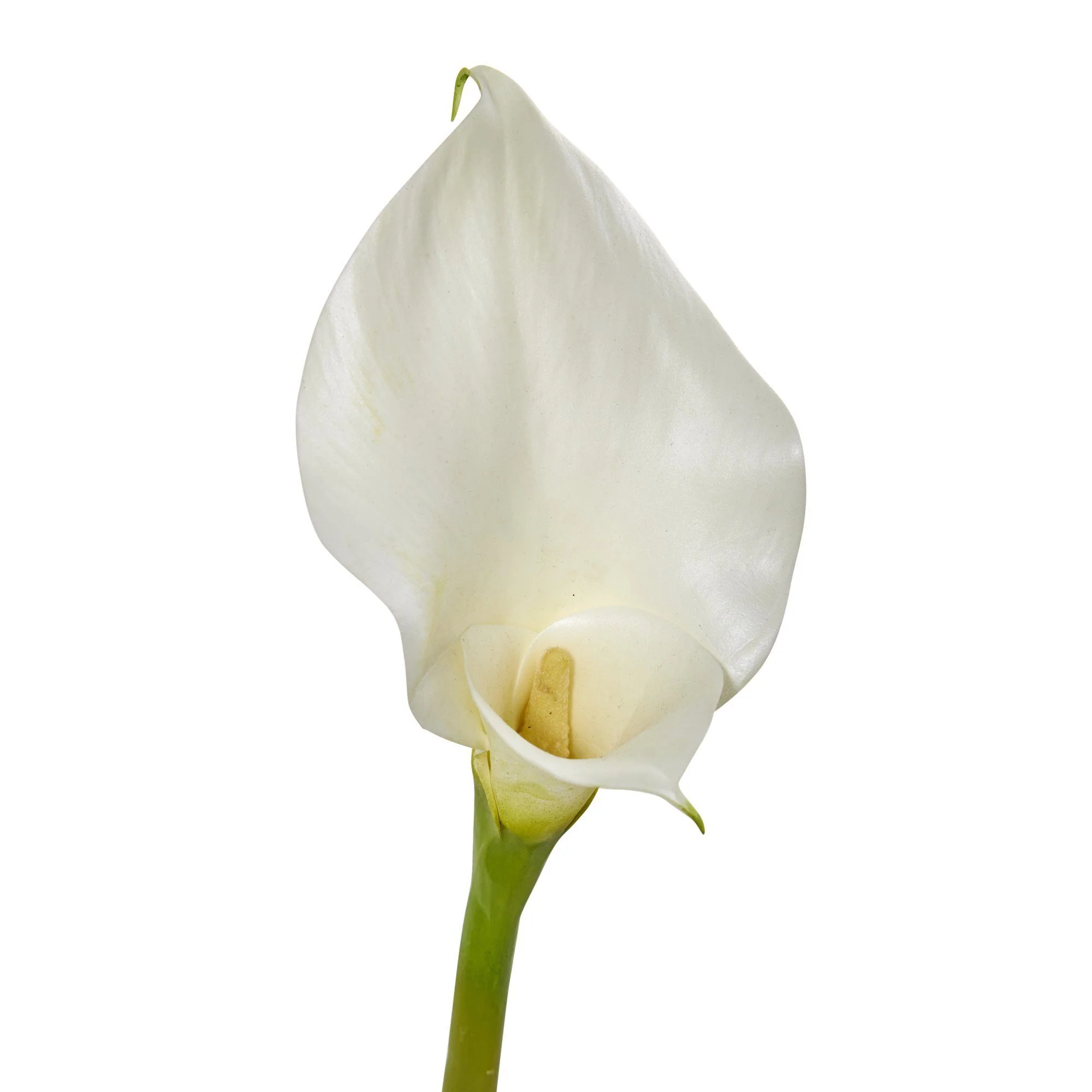 33” Calla Lilly Artificial Flower (Set of 4) - Image 2