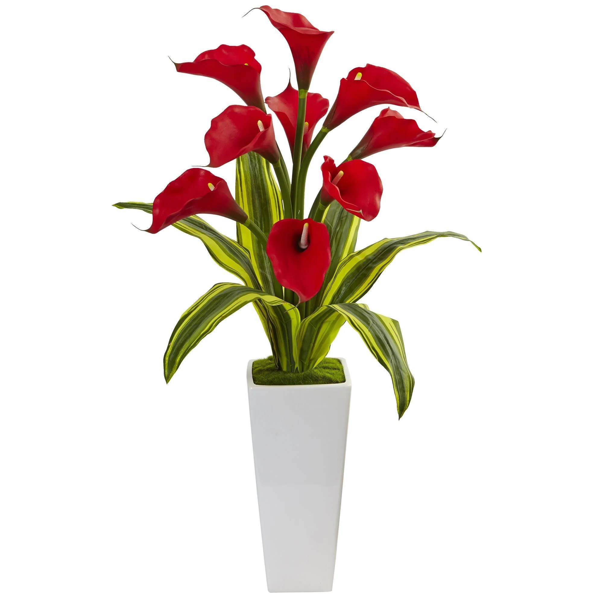 Callas with Tropical Leaves in Glossy Planter - Image 2