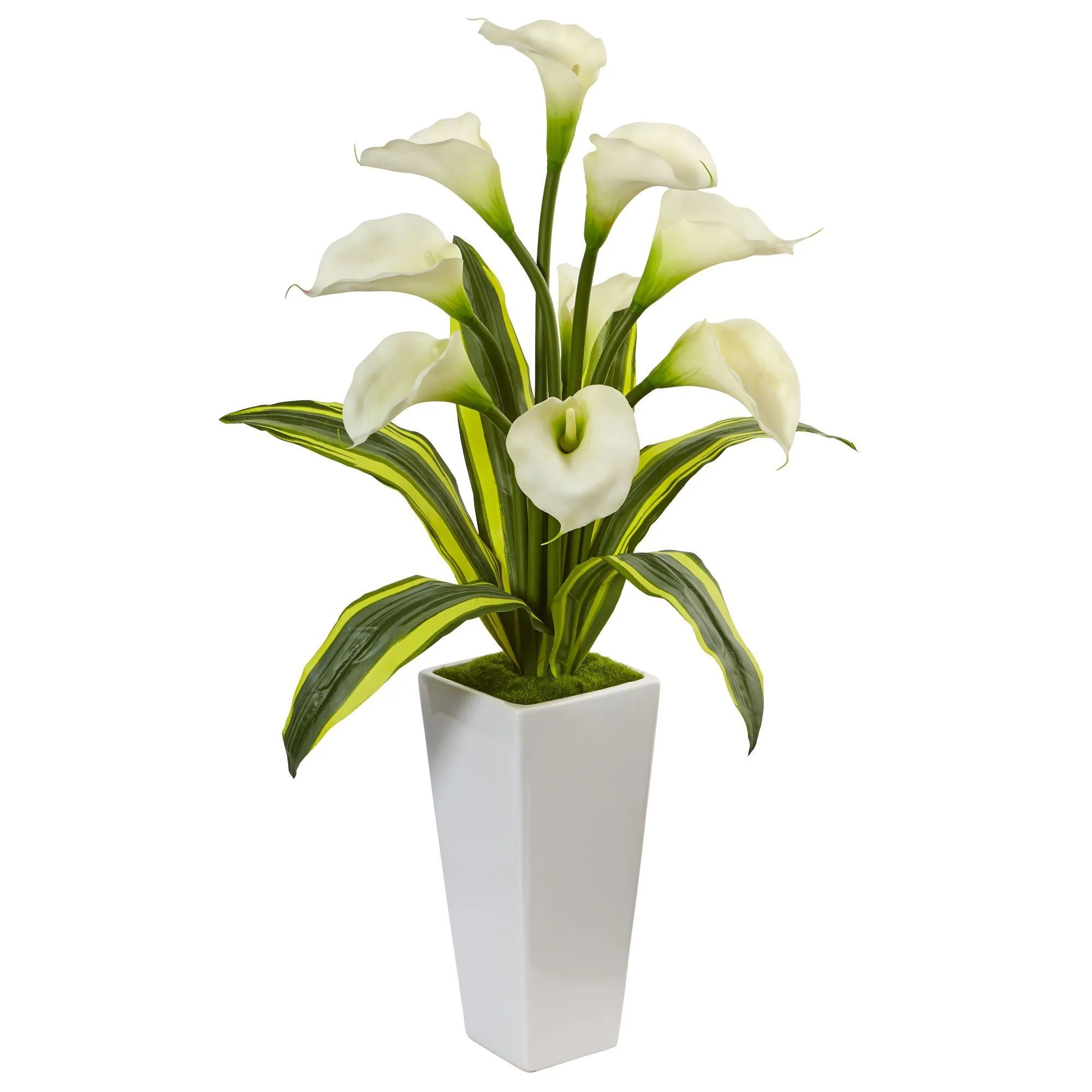 Callas with Tropical Leaves in Glossy Planter - Image 3