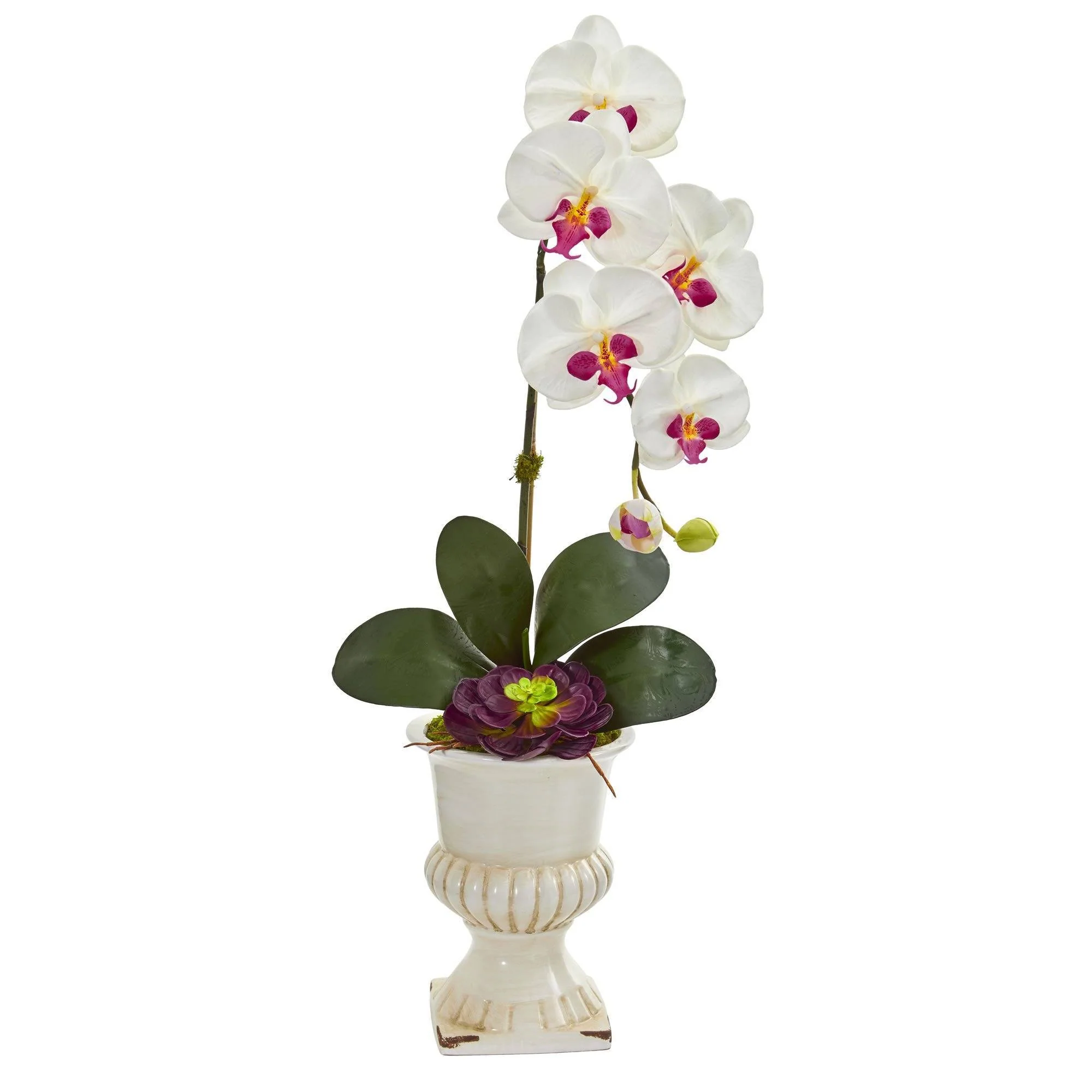 Orchid and Succulent Artificial Arrangement in Urn - Image 2