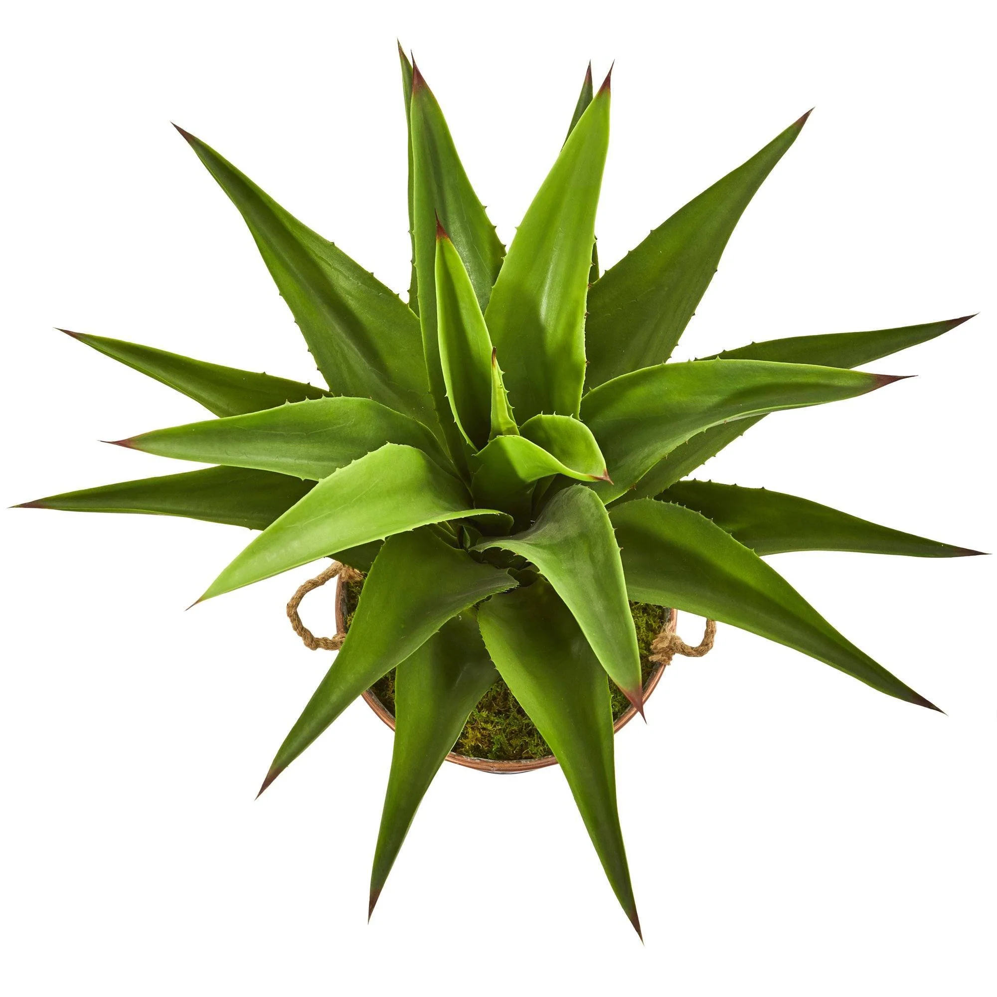 34” Agave Artificial Plant in Decorative Metal Pail with Rope - Image 4
