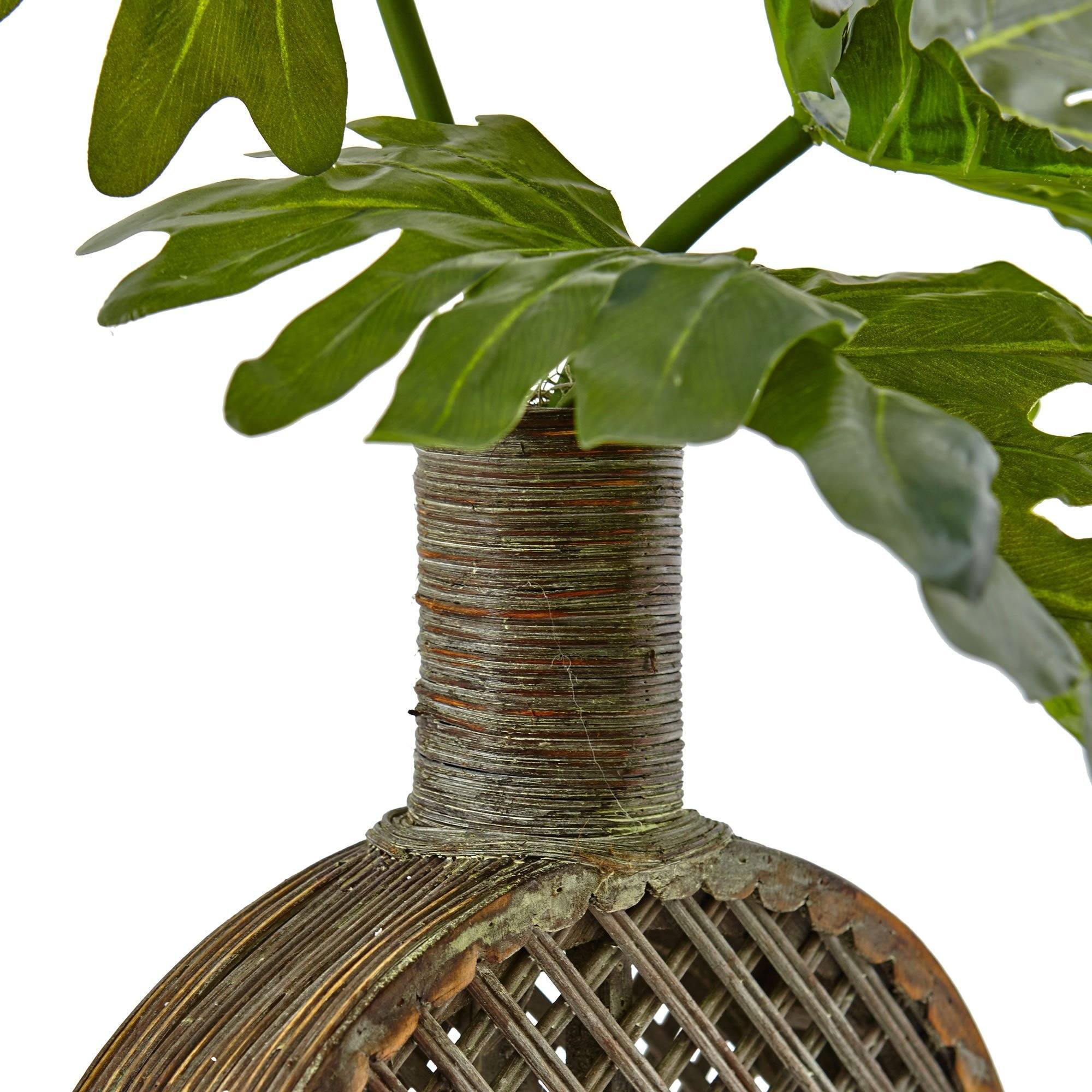 Selloum in Open Weave Vase - Image 2
