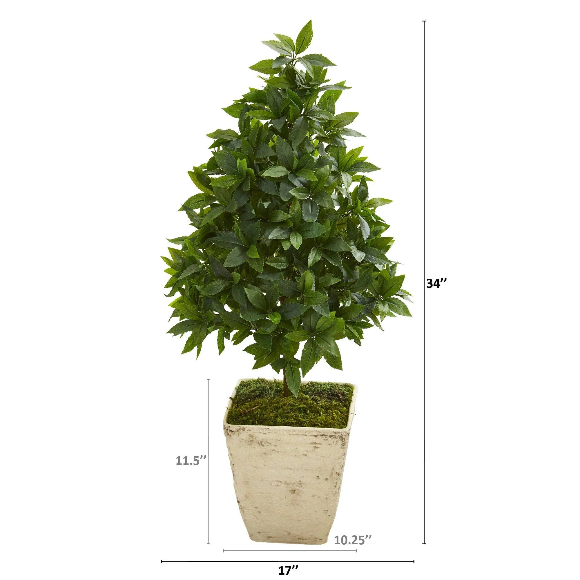 34” Sweet Bay Cone Topiary Artificial Tree in Country White Planter - Image 2
