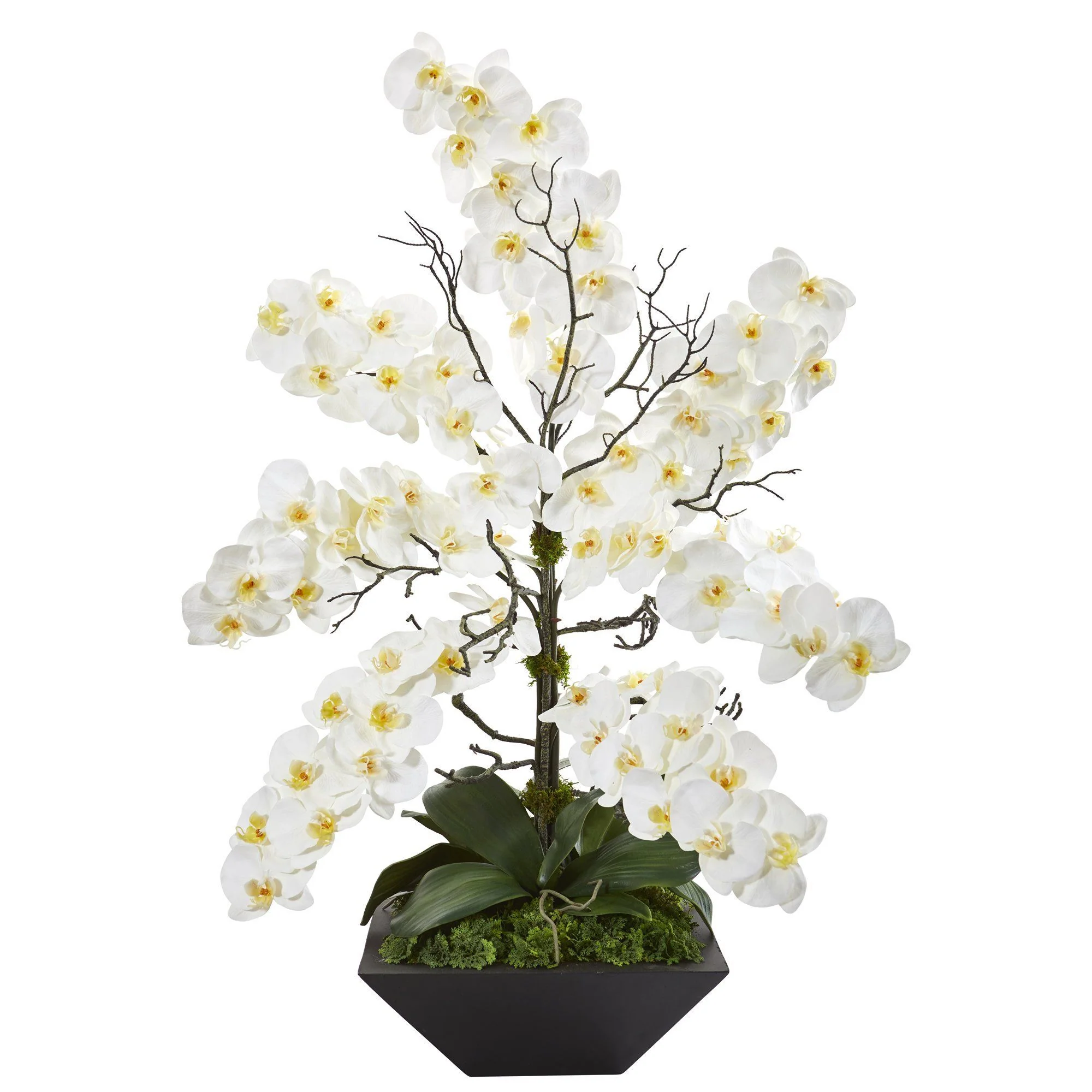 35” Mixed Phalaenopsis Orchid Artificial Arrangement in Black Vase