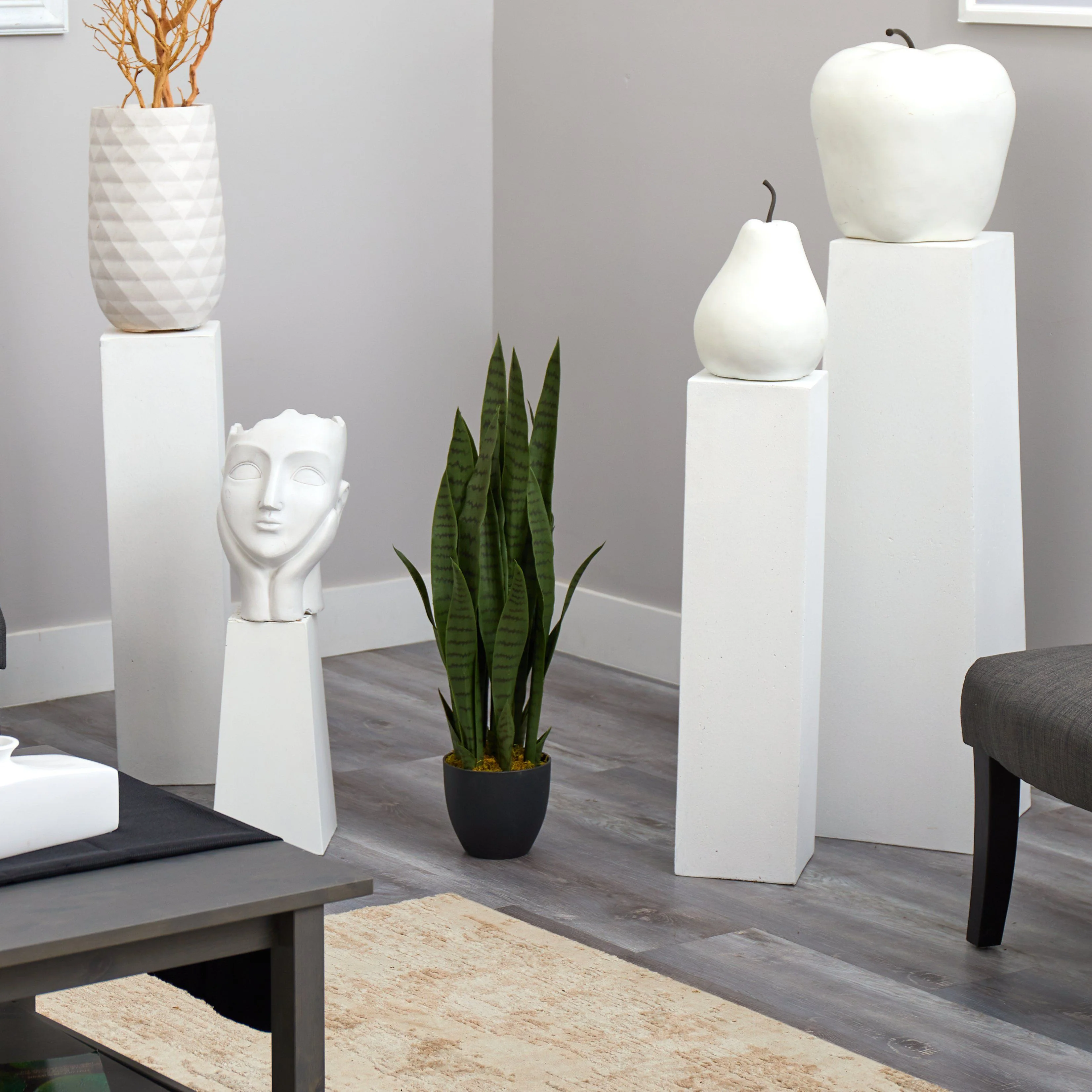 Sansevieria w/Black Planter - Image 3