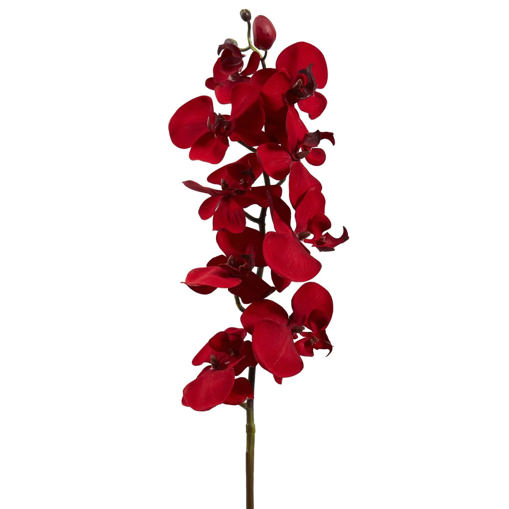 36” Christmas Phalaenopsis Orchid Artificial Flower (Set of 4) - Image 2