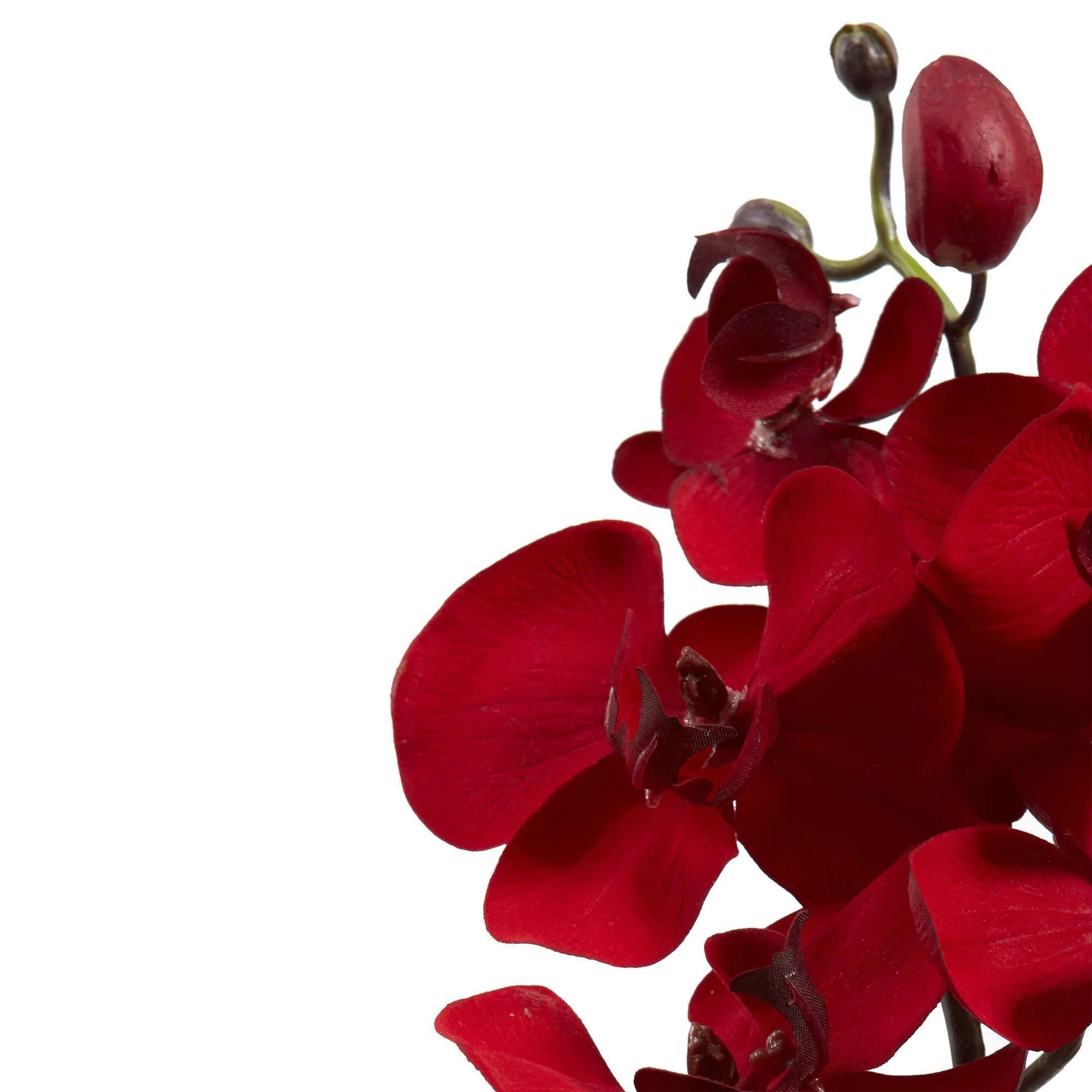 36” Christmas Phalaenopsis Orchid Artificial Flower (Set of 4) - Image 4