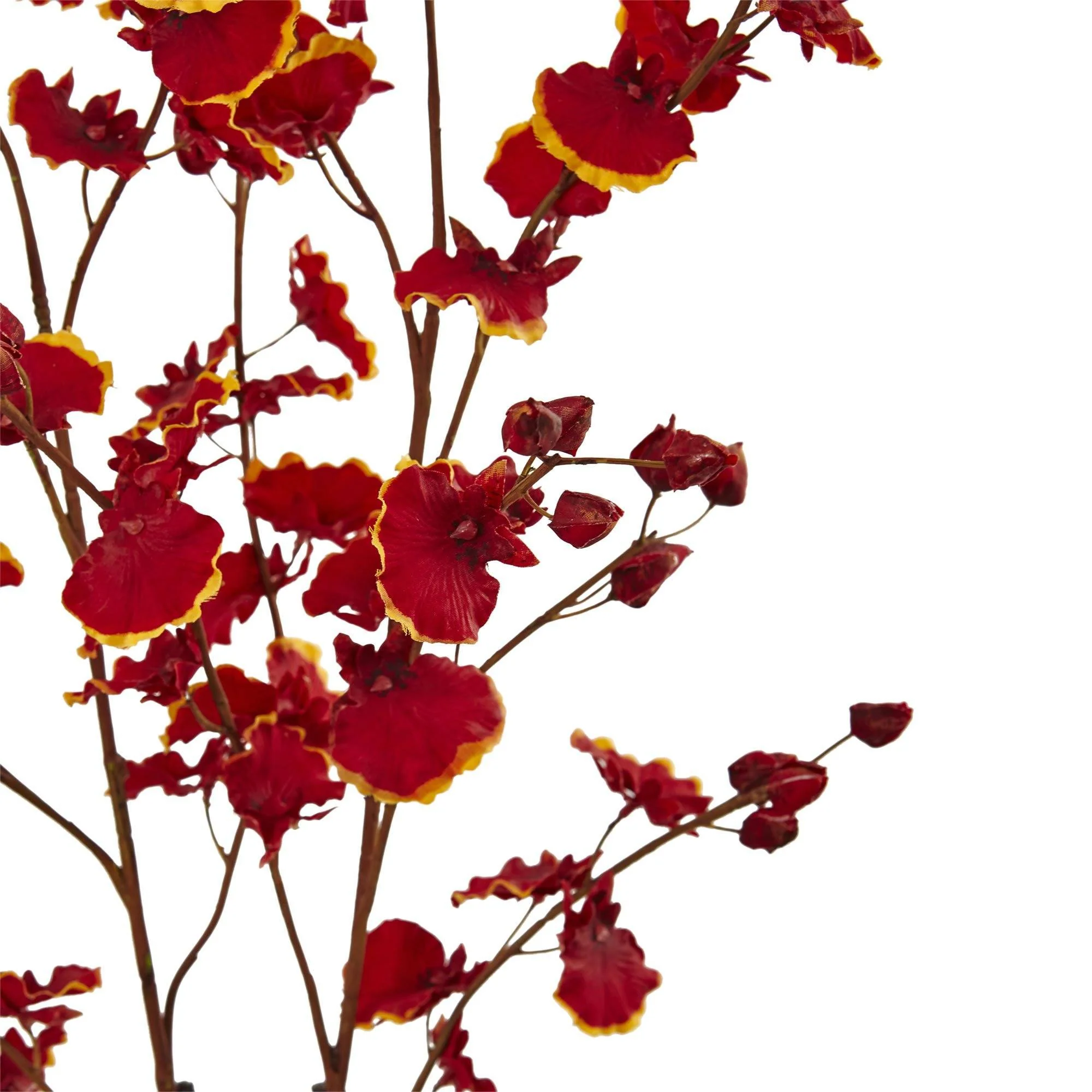Dancing Orchid w/White Glass Vase - Image 3