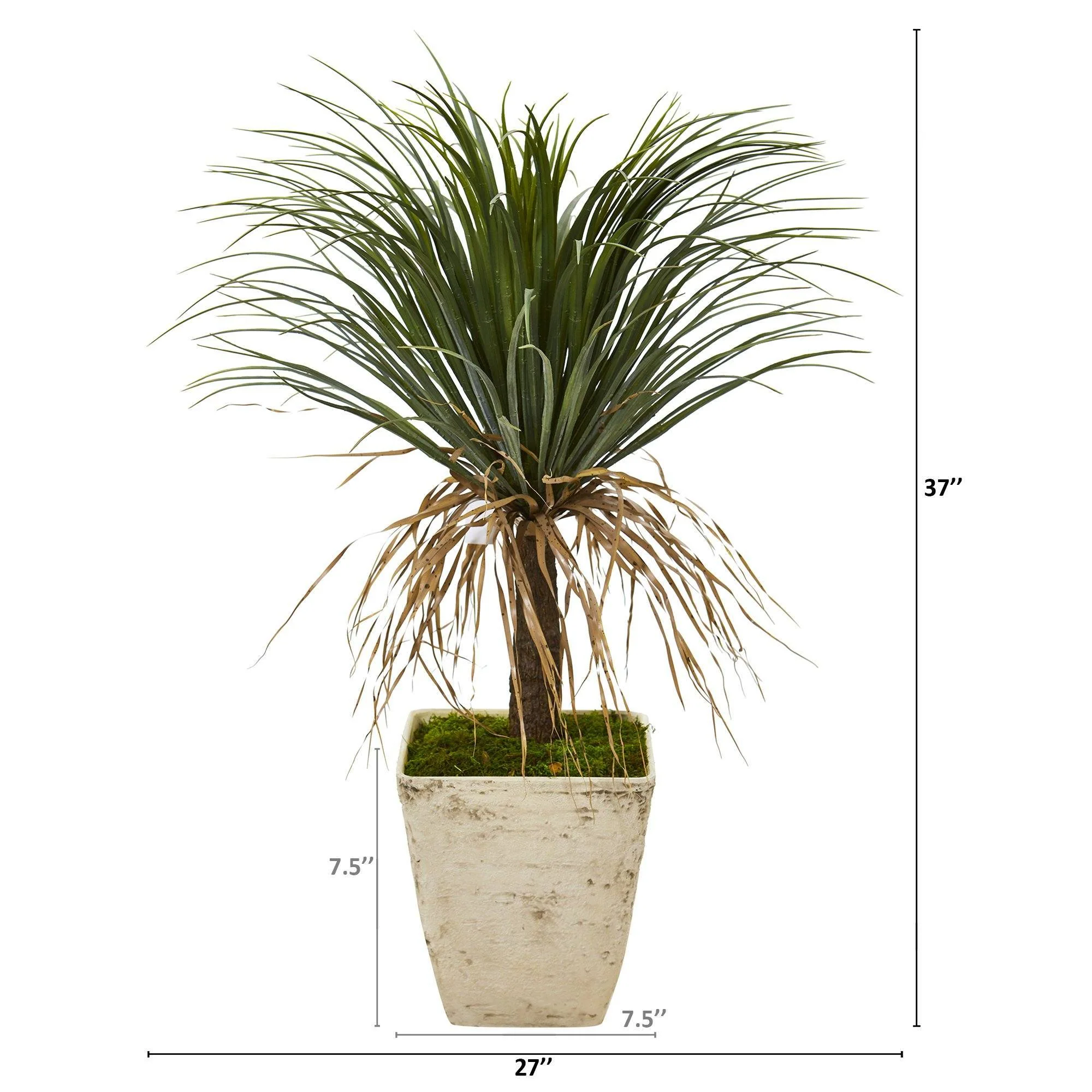 37” Pony Tail Palm Artificial Plant in Country White Planter - Image 2