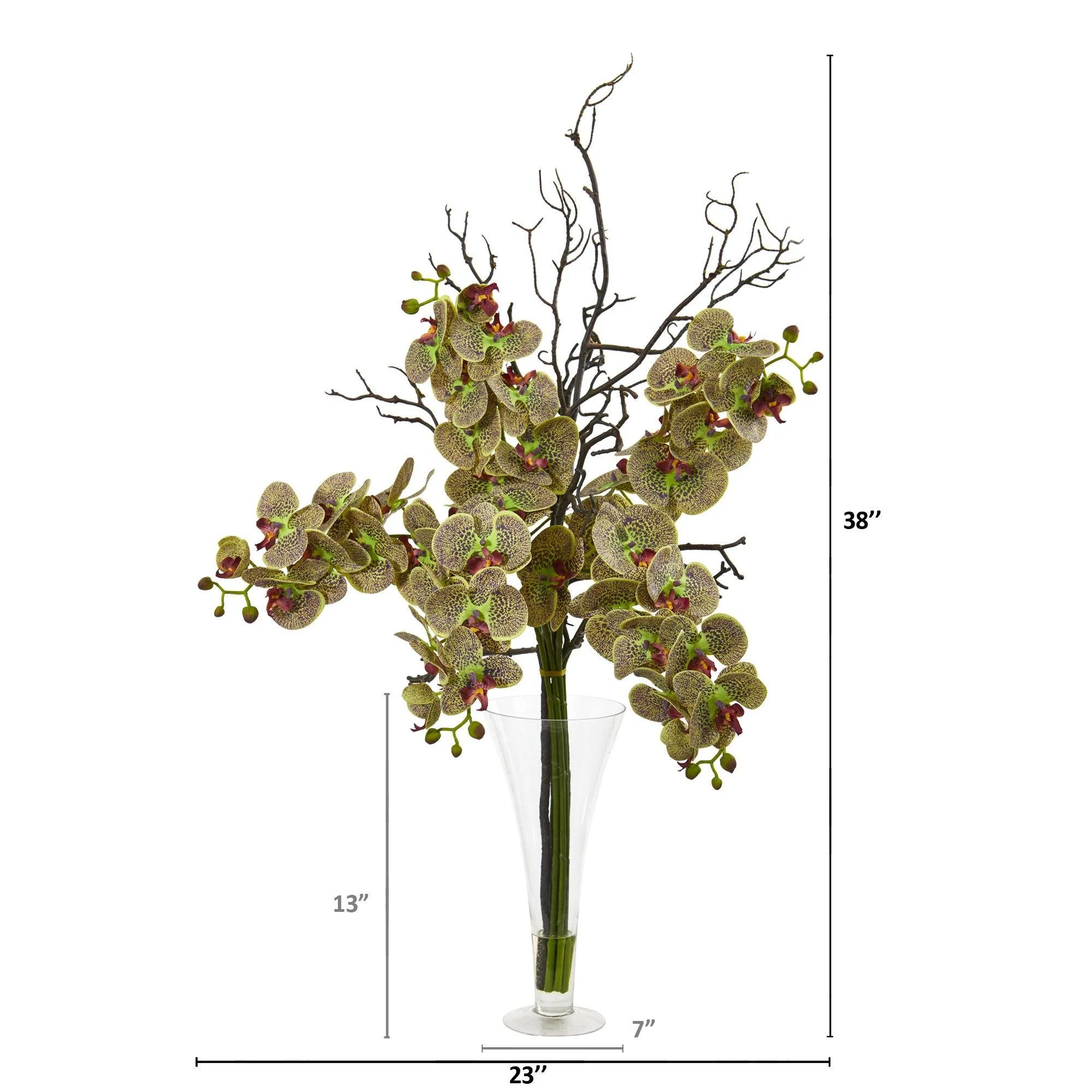38” Elegant Phalaenopsis Orchid Arrangement in Flared Vase - Image 4