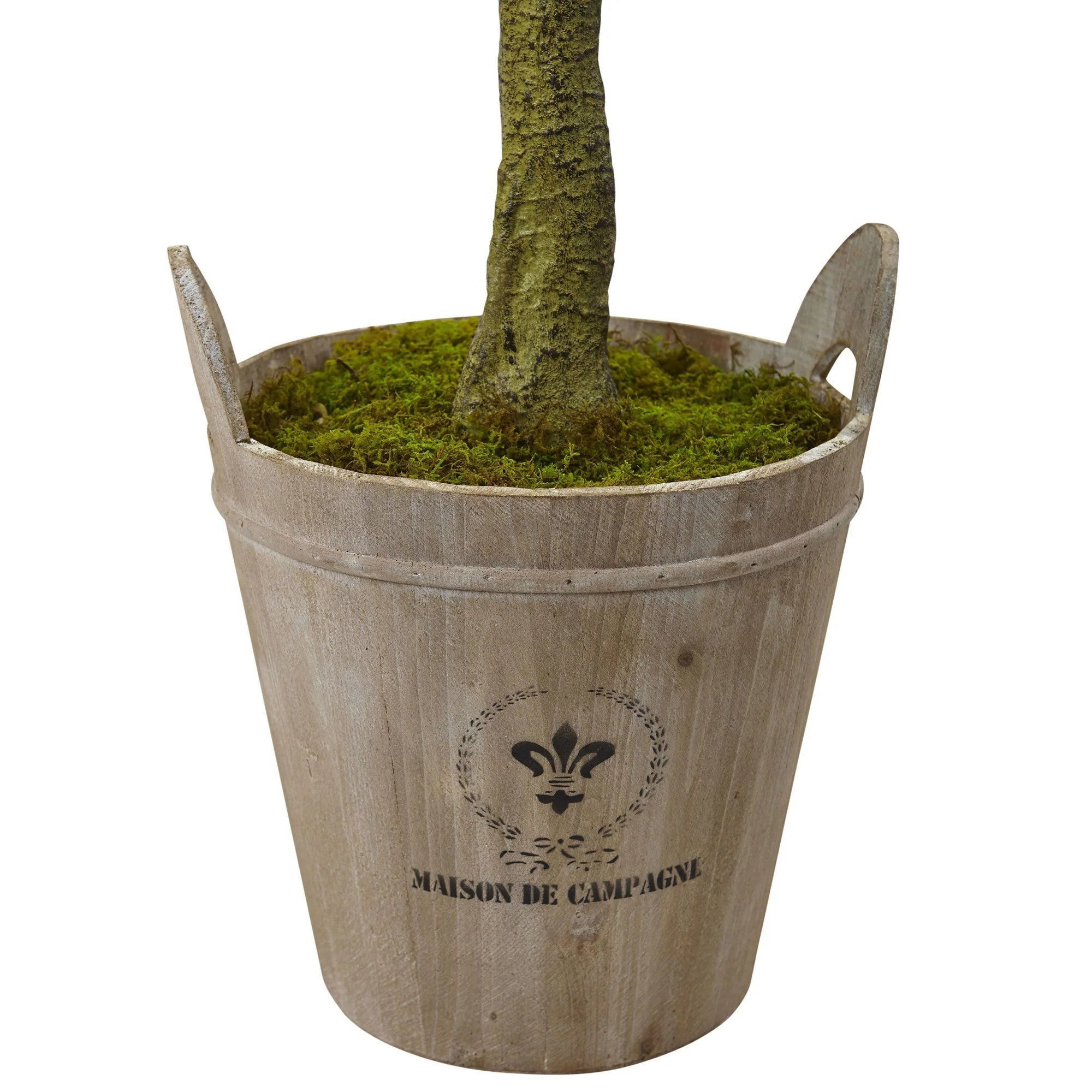 Sweet Bay Topiary with Farmhouse Planter - Image 2