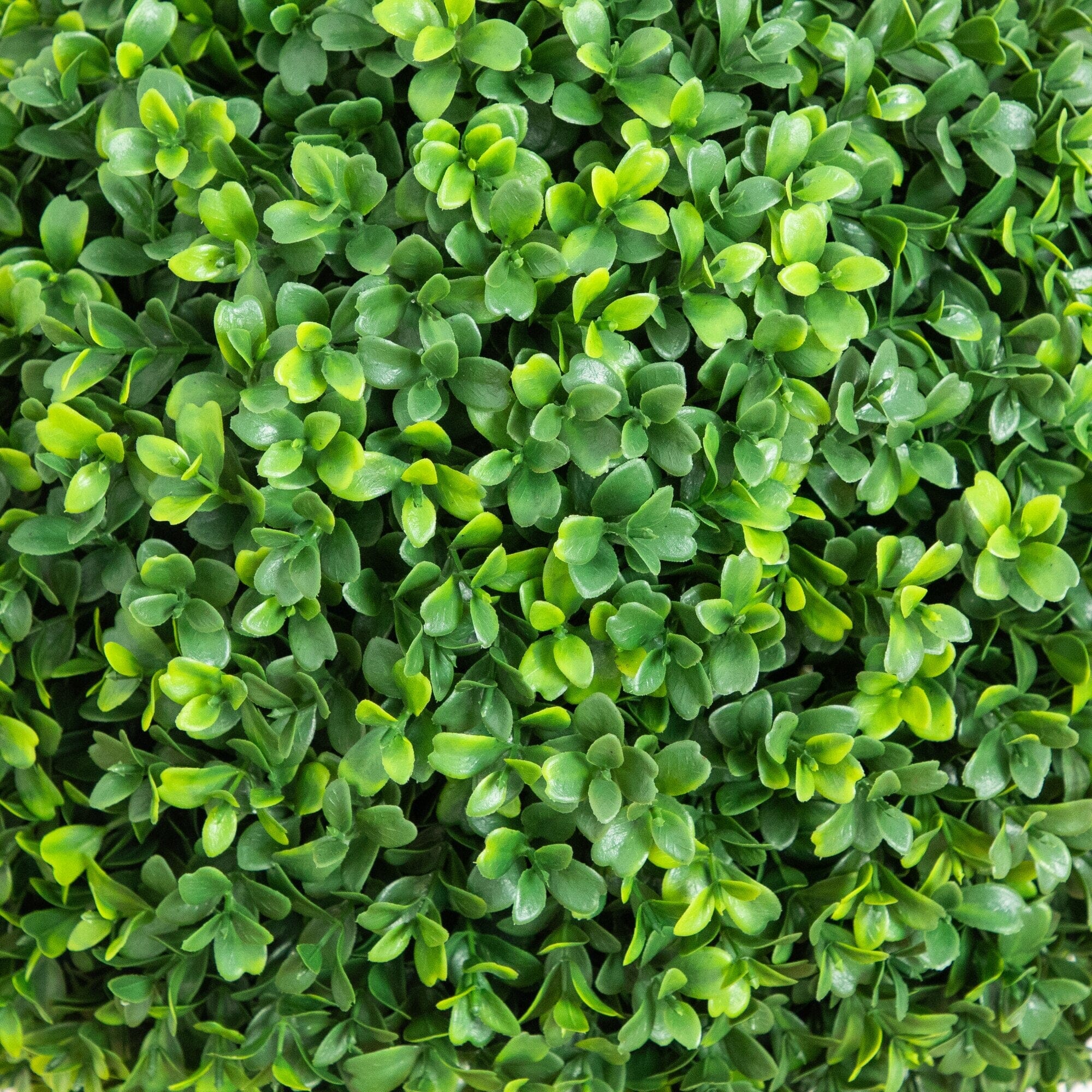 3' UV Resistant Artificial Boxwood Topiary with Integrated Ground Stake (Indoor/Outdoor) - Image 2