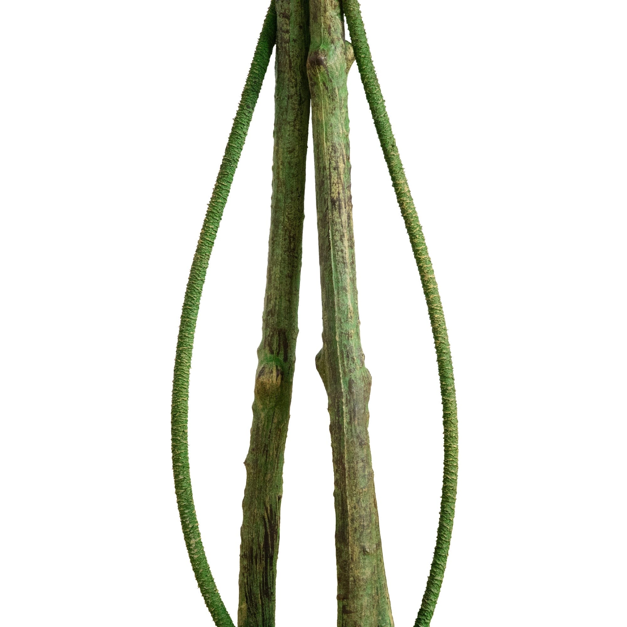 4.5-ft UV Resistant Artificial Ficus Tree (Indoor/Outdoor) - Image 4