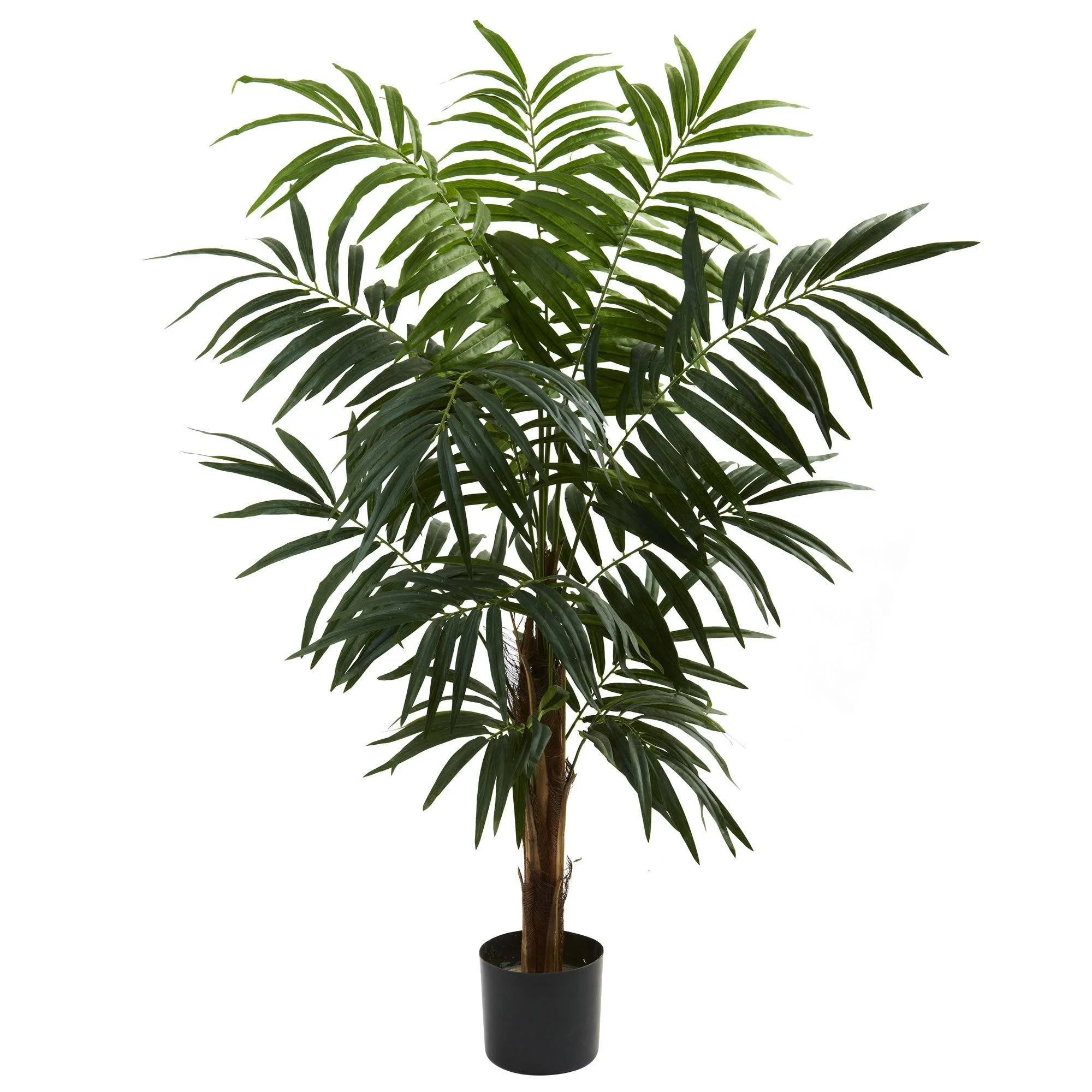 4.5’ Bulb Areca Tree - Image 3