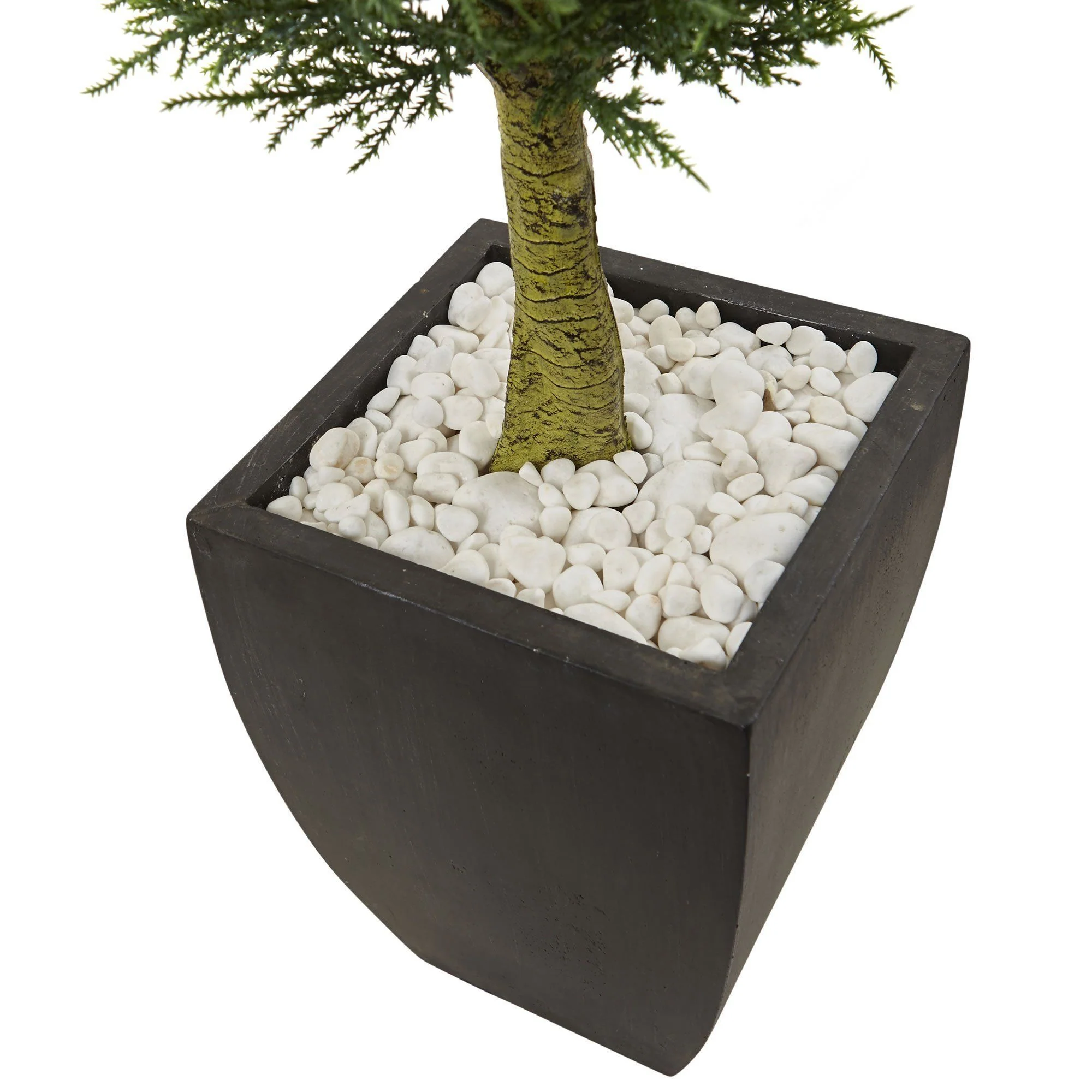 Cypress Topiary with Black Planter UV Resistant (Indoor/Outdoor) - Image 2