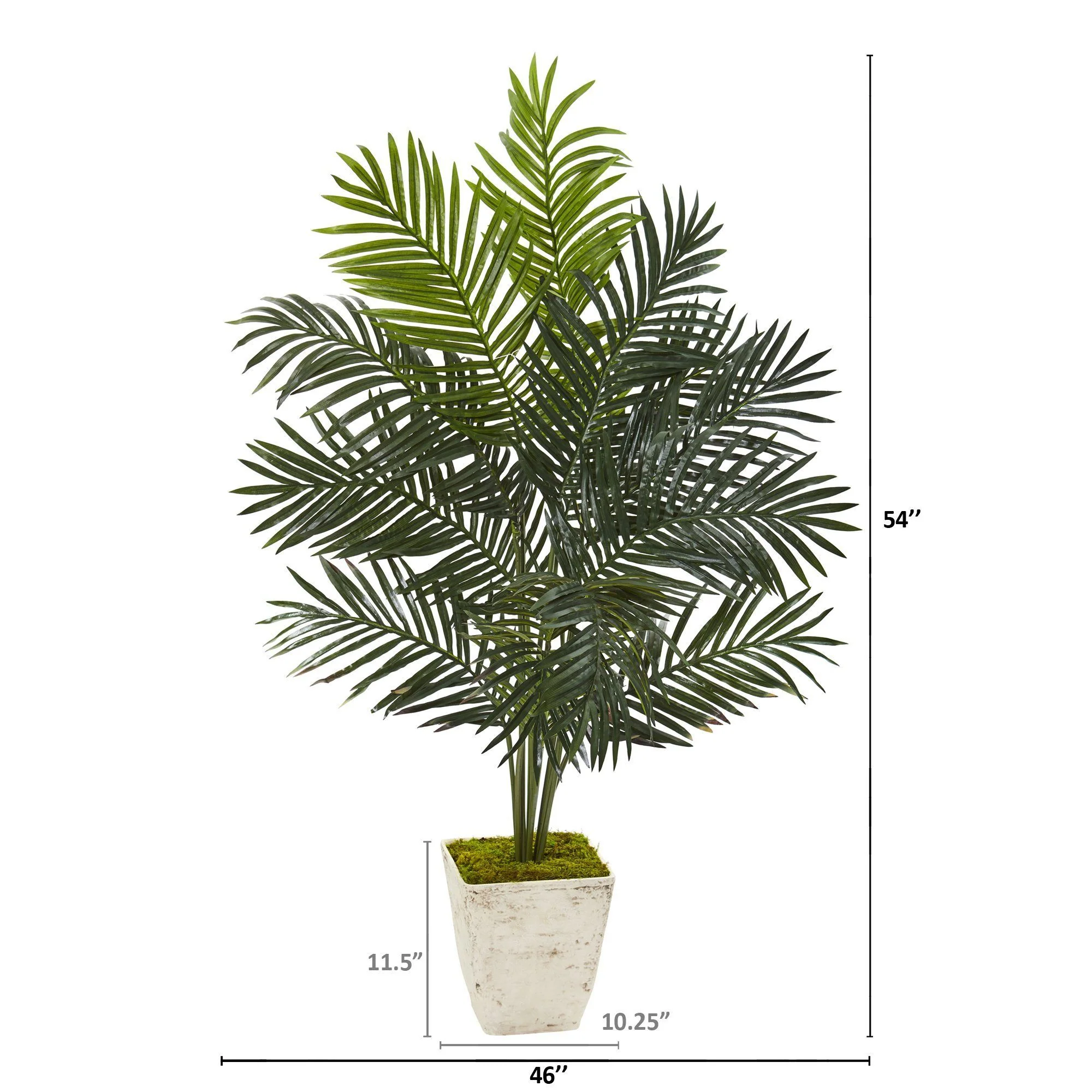 4.5’ Paradise Palm Artificial Tree in Country White Planter - Image 2