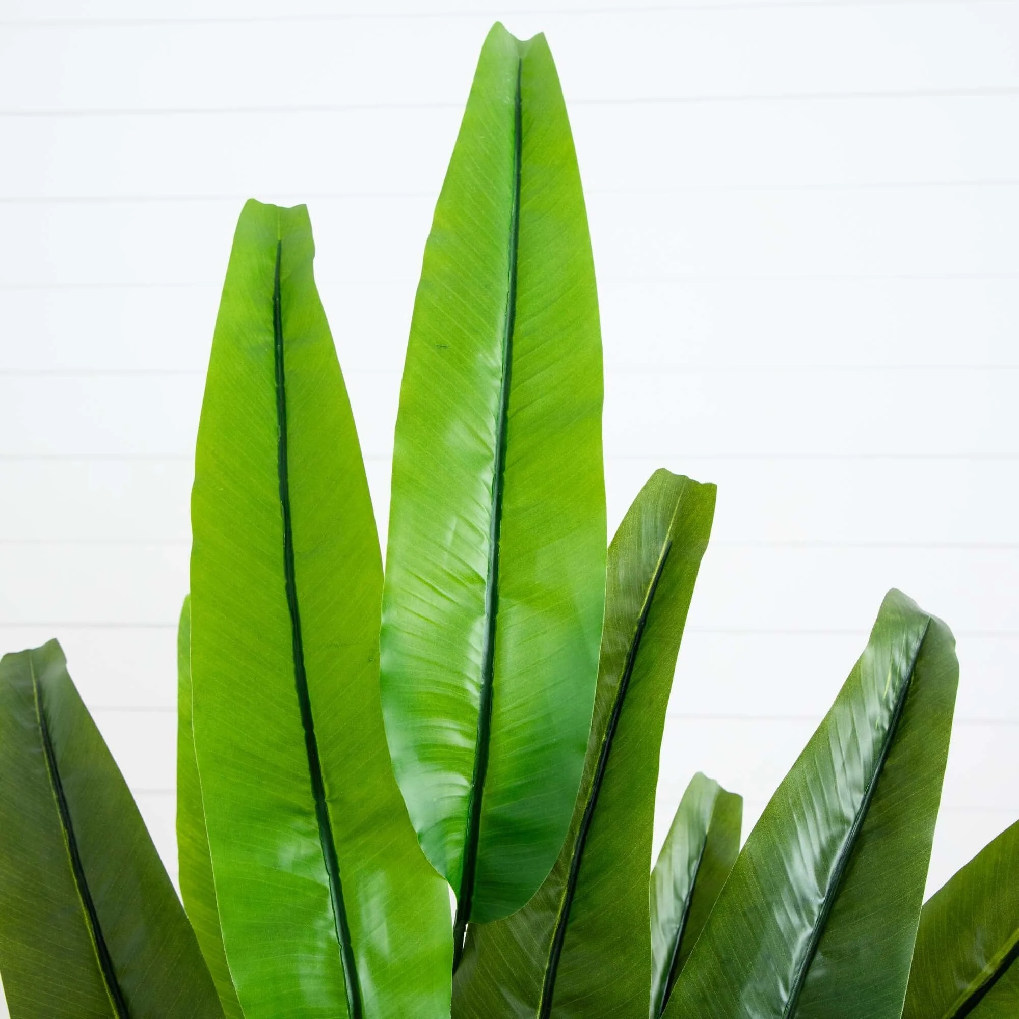 4.5’ Traveler's Palm Artificial Tree - Image 2