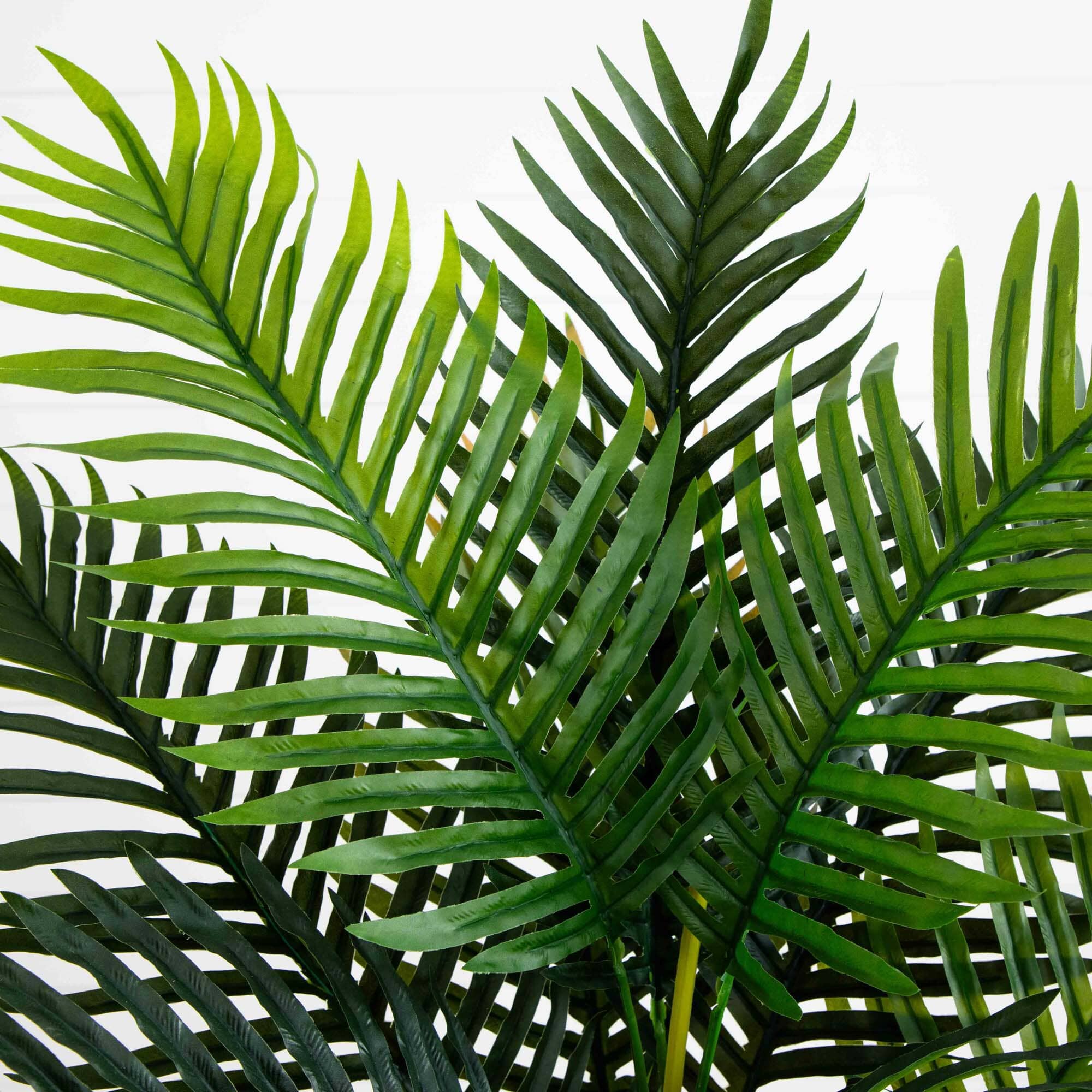 4’ Areca Palm Tree (Real Touch) - Image 2