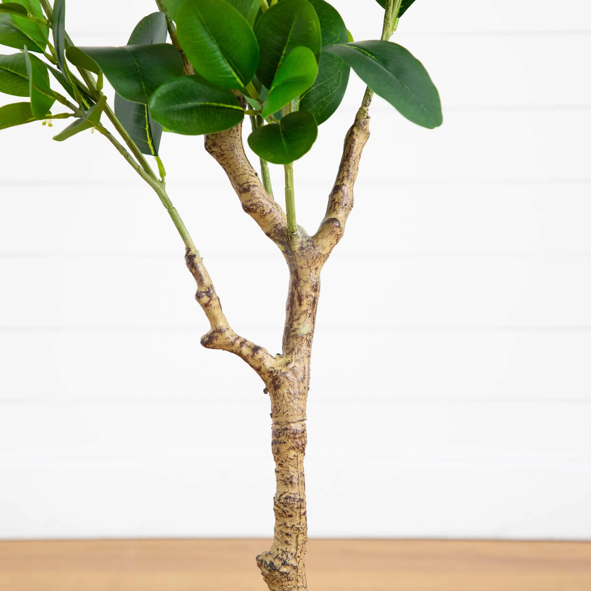 4’ Artificial Audrey Ficus Tree - Image 4