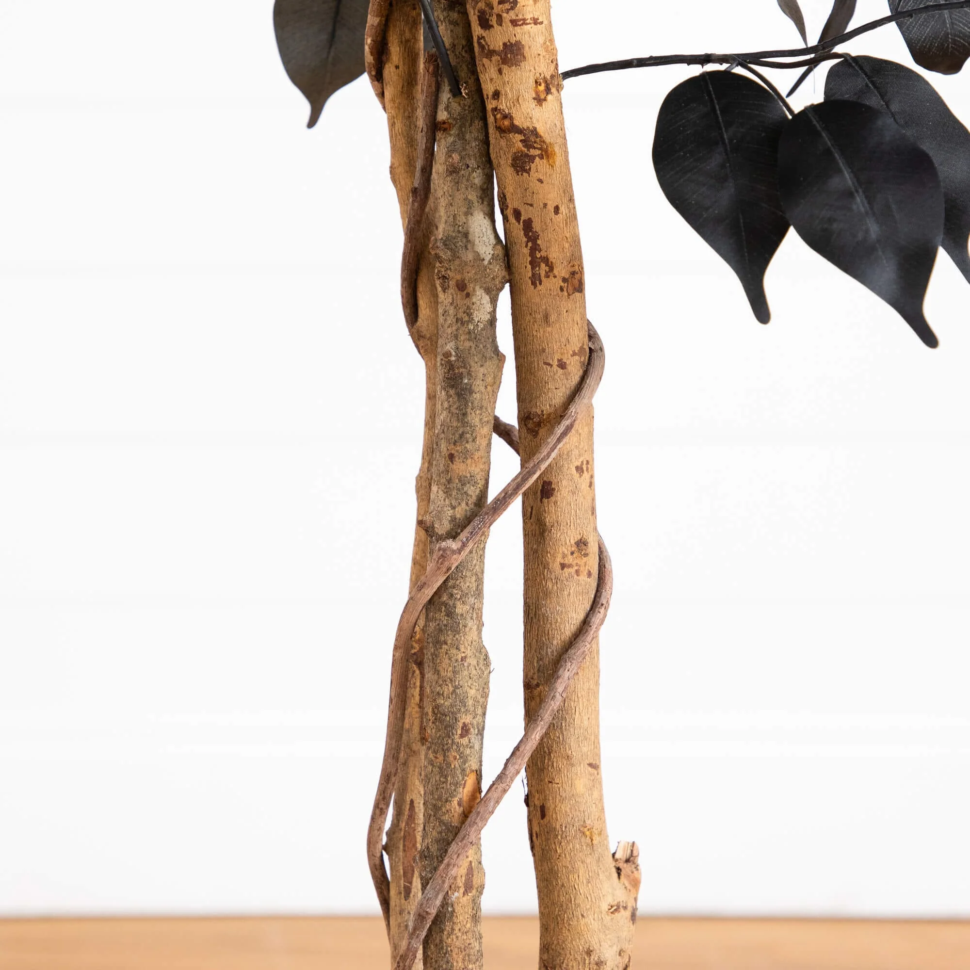 4' Artificial Halloween Black Ficus Tree with Natural Trunk - Image 4