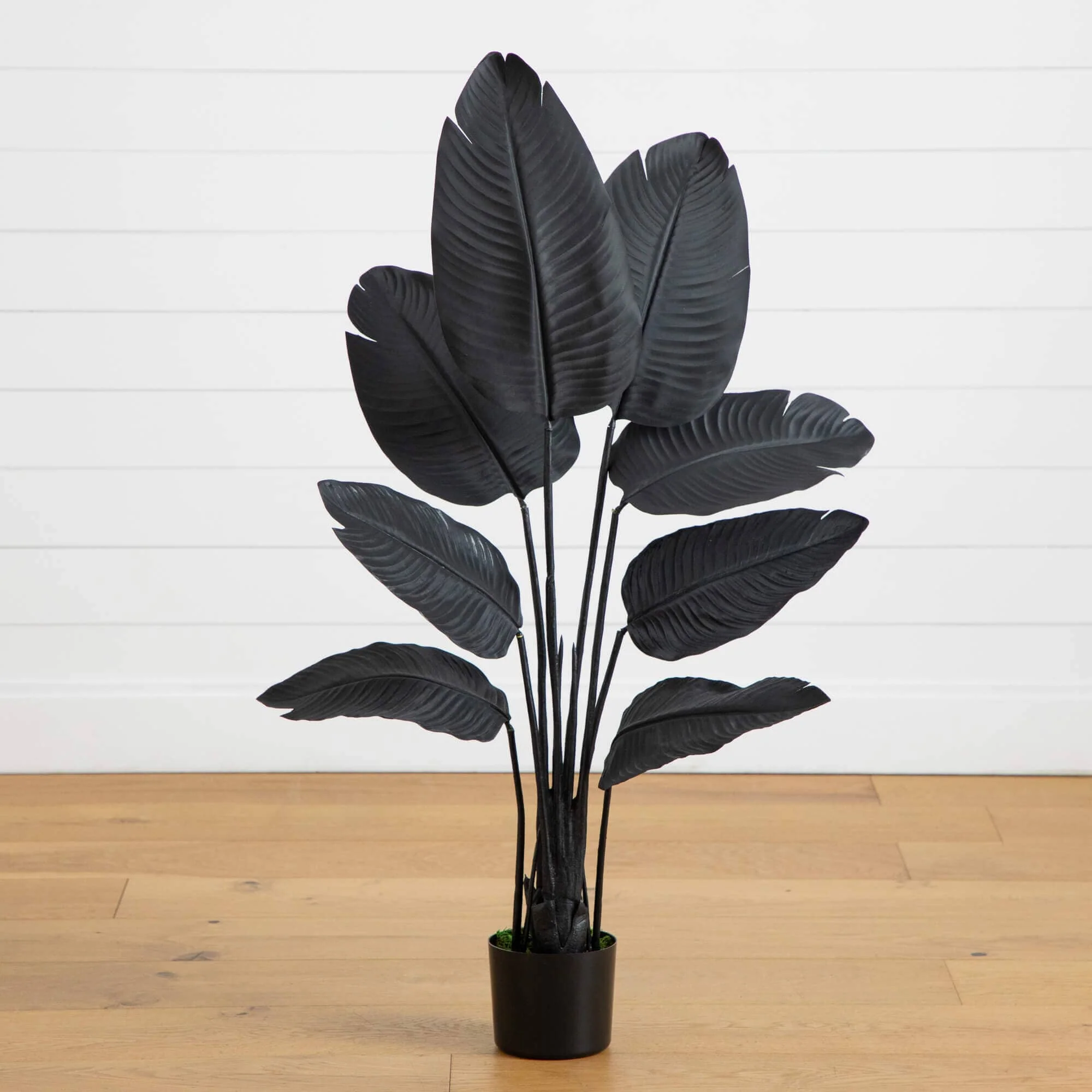4' Artificial Halloween Black Travelers Palm Tree