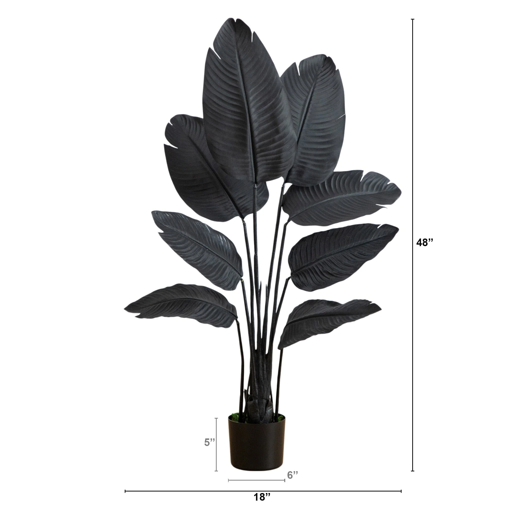 4' Artificial Halloween Black Travelers Palm Tree - Image 5