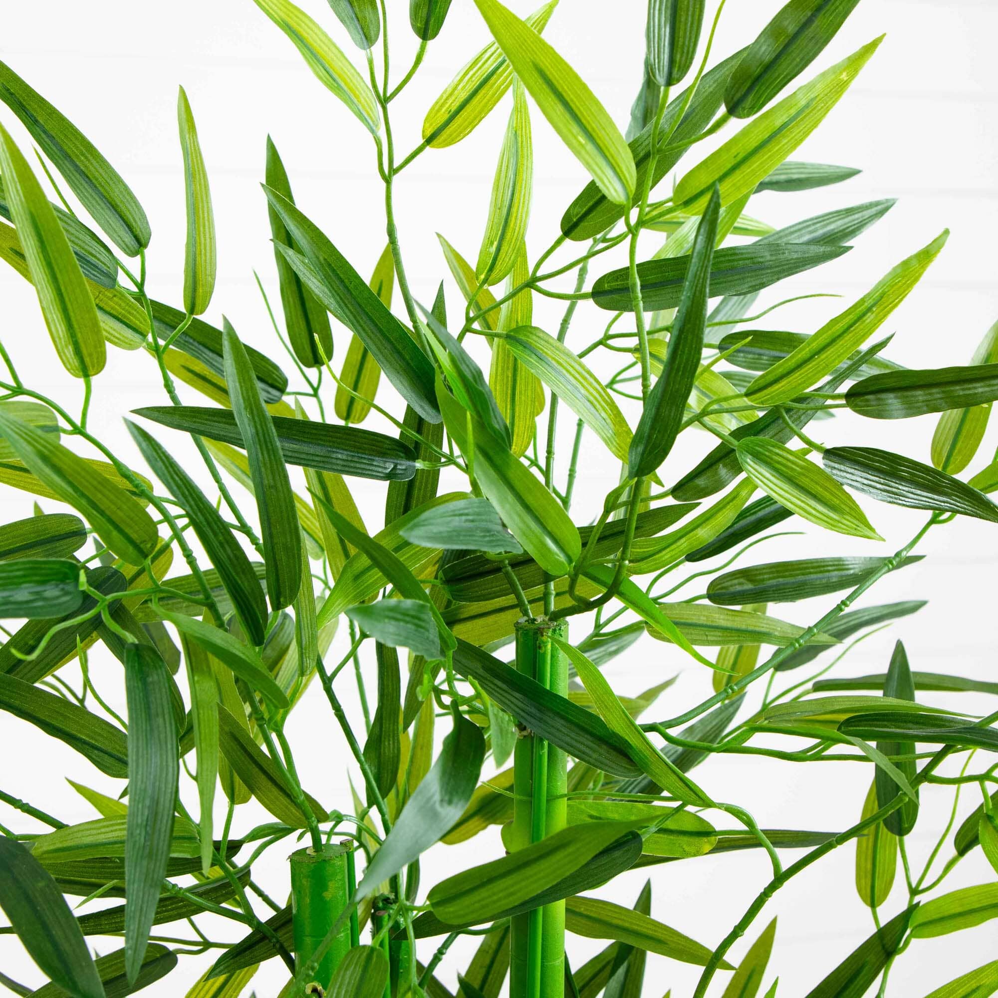 4' Bamboo Tree UV Resistant (Indoor/Outdoor) - Image 2