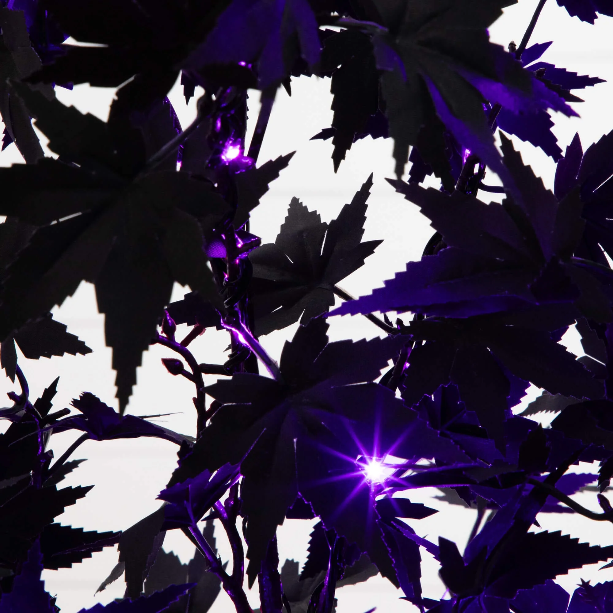 4' Pre-Lit Artificial Halloween Black Maple Tree with 180 Orange & Purple LED Lights - Image 2