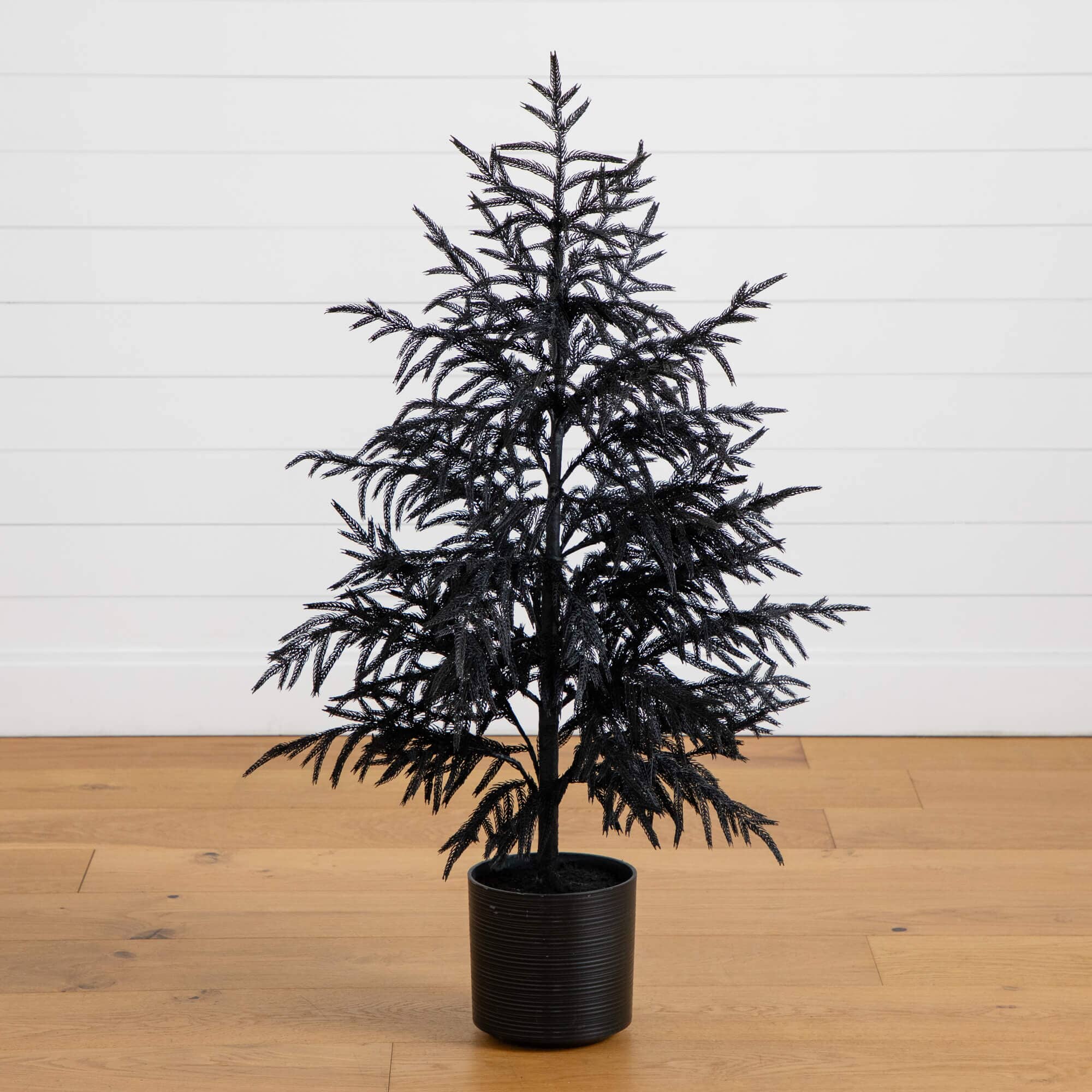 4' Artificial Halloween Real Touch Black Norfolk Pine Christmas Tree with Natural Look - Image 3